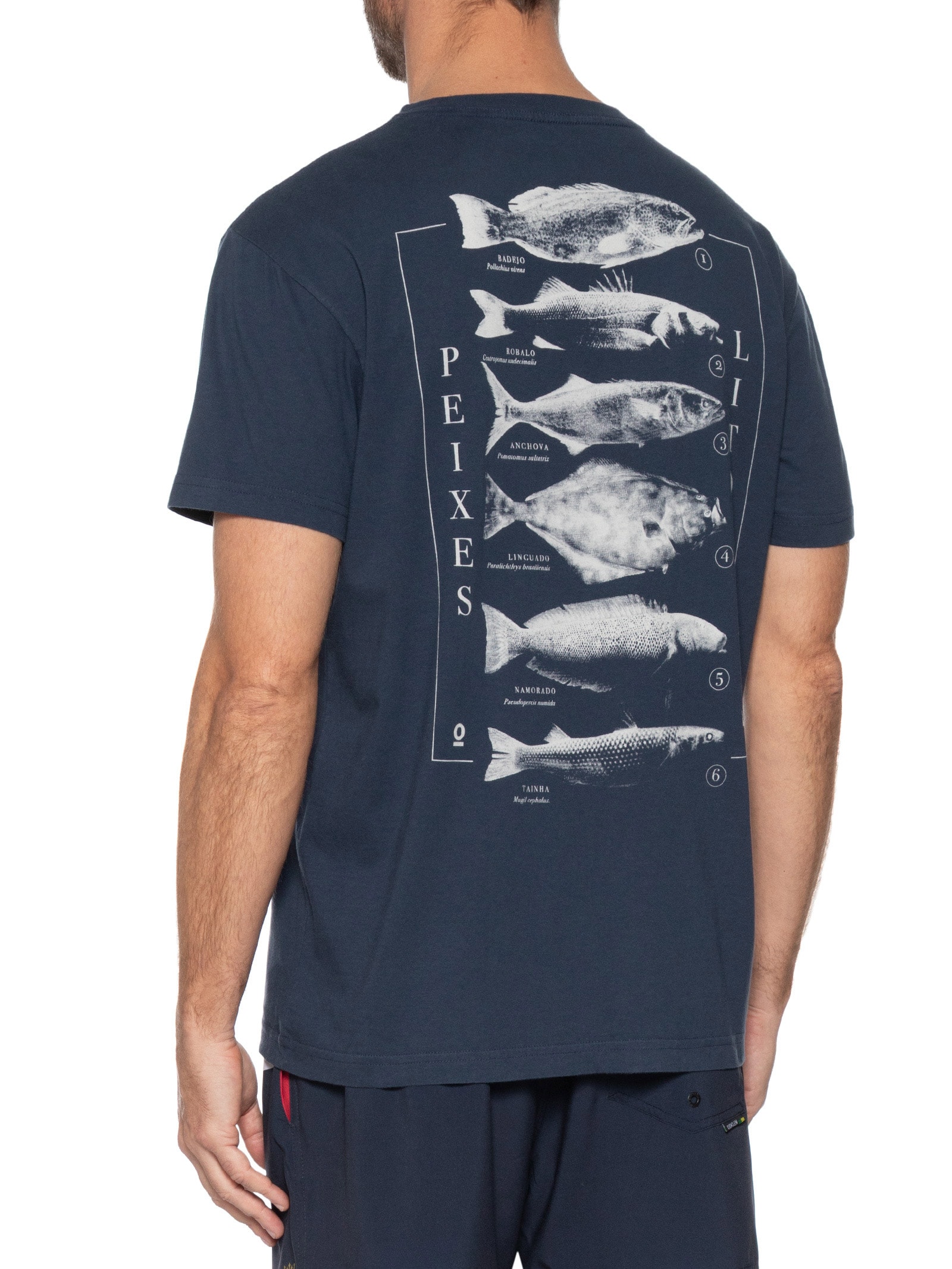 Camiseta Masculina Vintage Peixes Do Litoral Manga Curta Azul Osklen