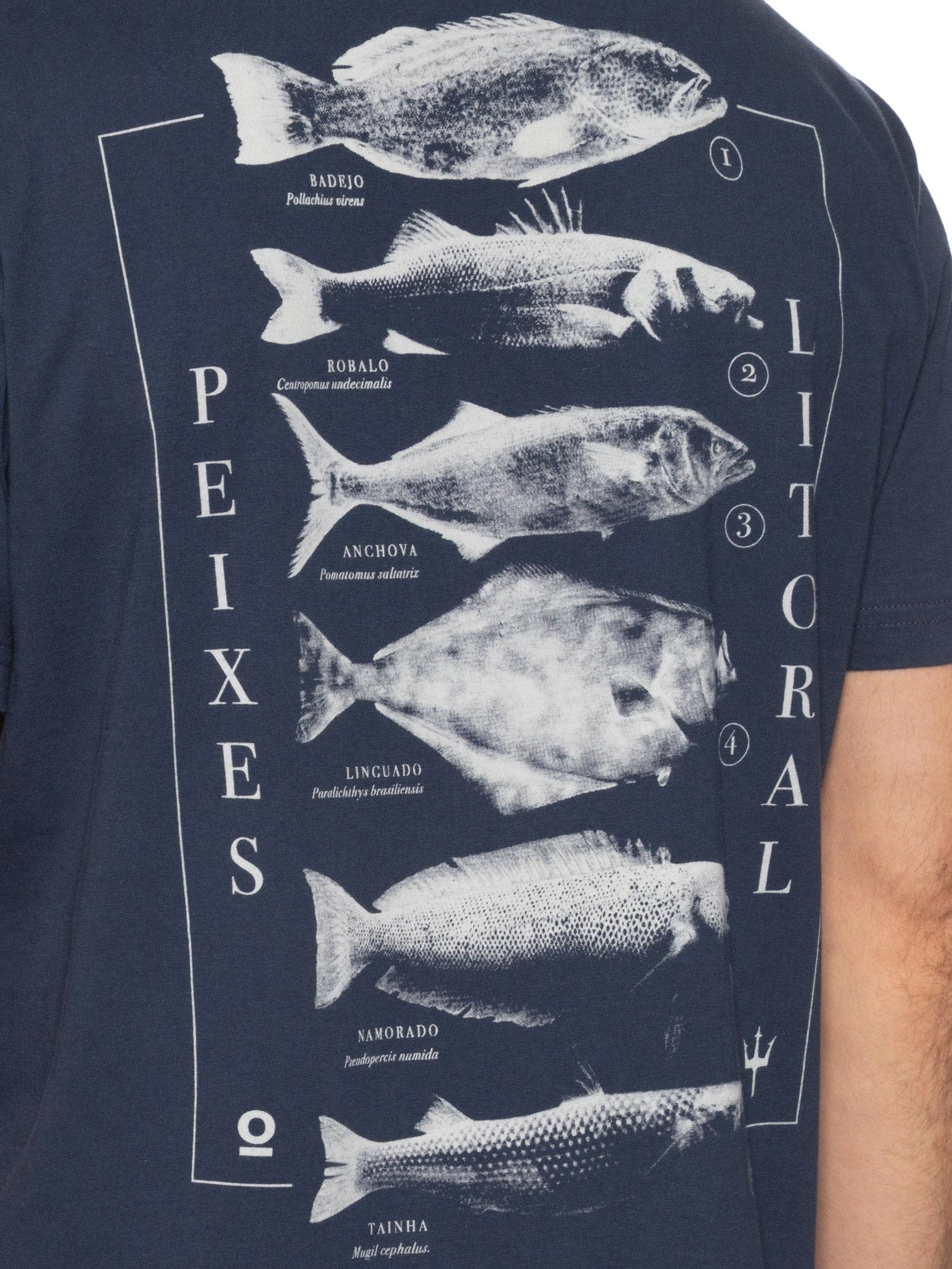 Camiseta Masculina Vintage Peixes Do Litoral Manga Curta Azul Osklen