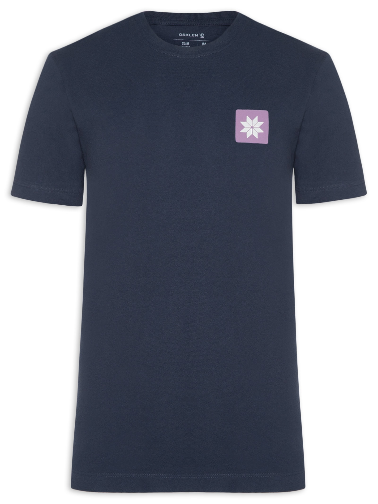 Camiseta Masculina Vintage Snow Icon Azul Osklen