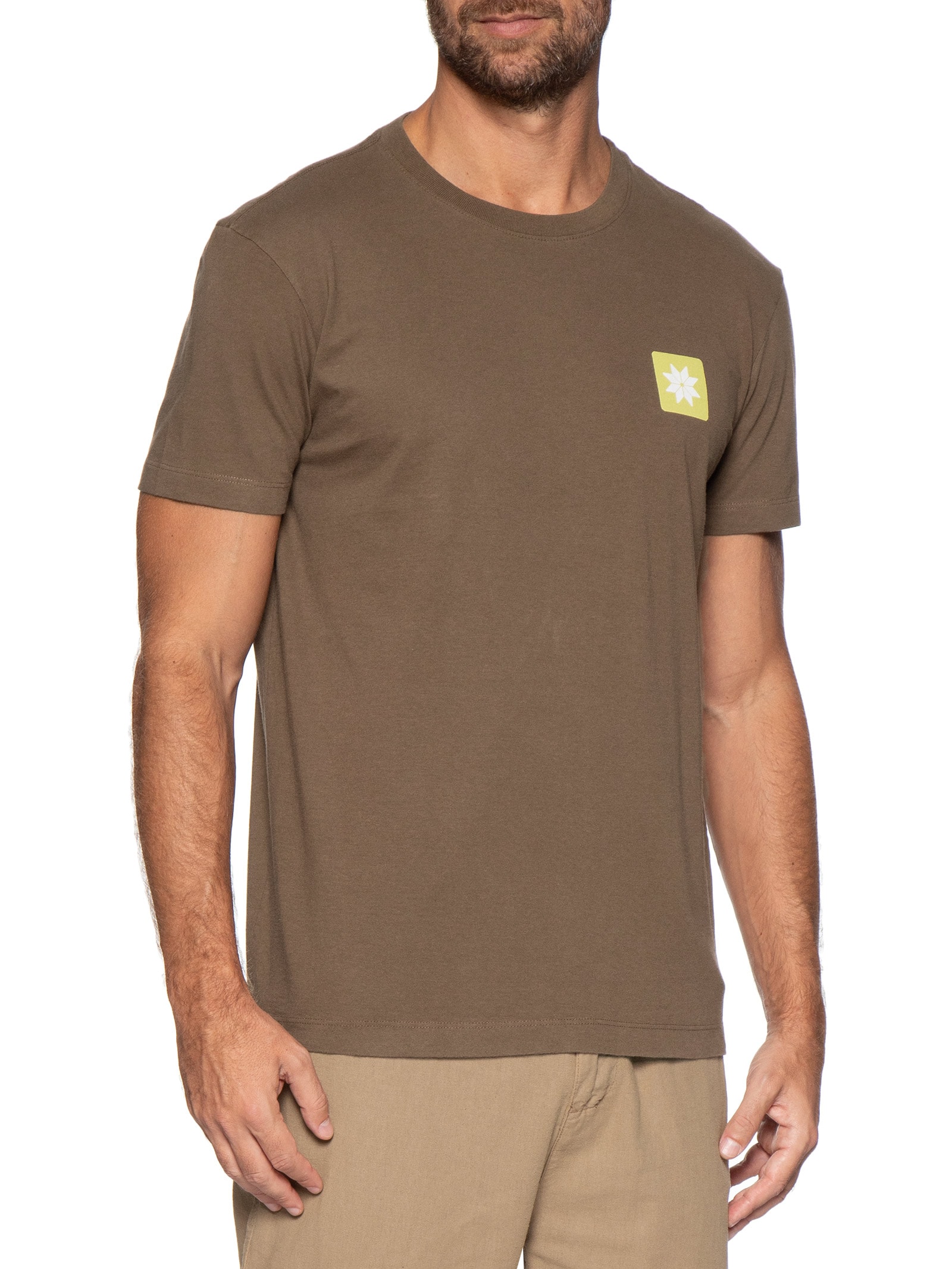 Camiseta Masculina Vintage Snow Icon Marrom Osklen