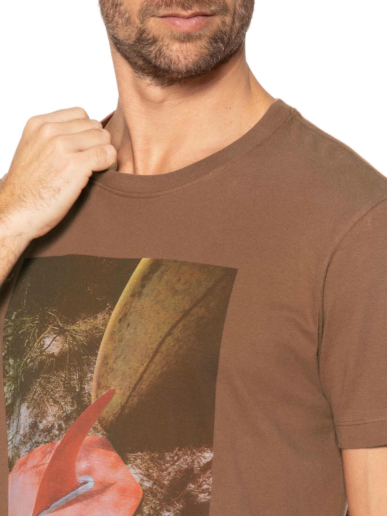 Camiseta Masculina Vintage Tail Boards Marrom Osklen