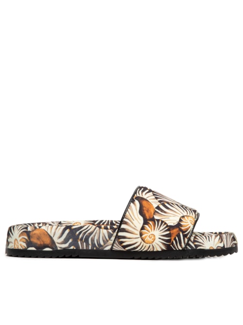 Chinelo Feminino Aq Dig – Preto