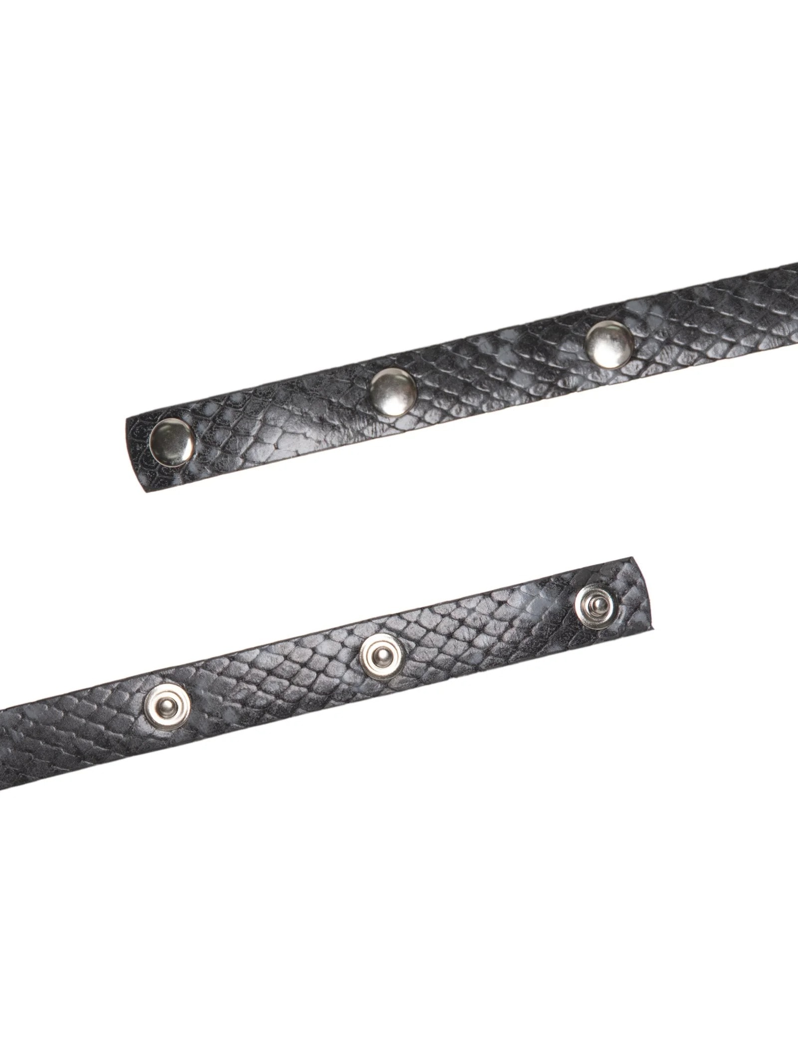 Cinto Feminino Fino Em Couro Fivela Quadrada Furos Animal Print '2Essential