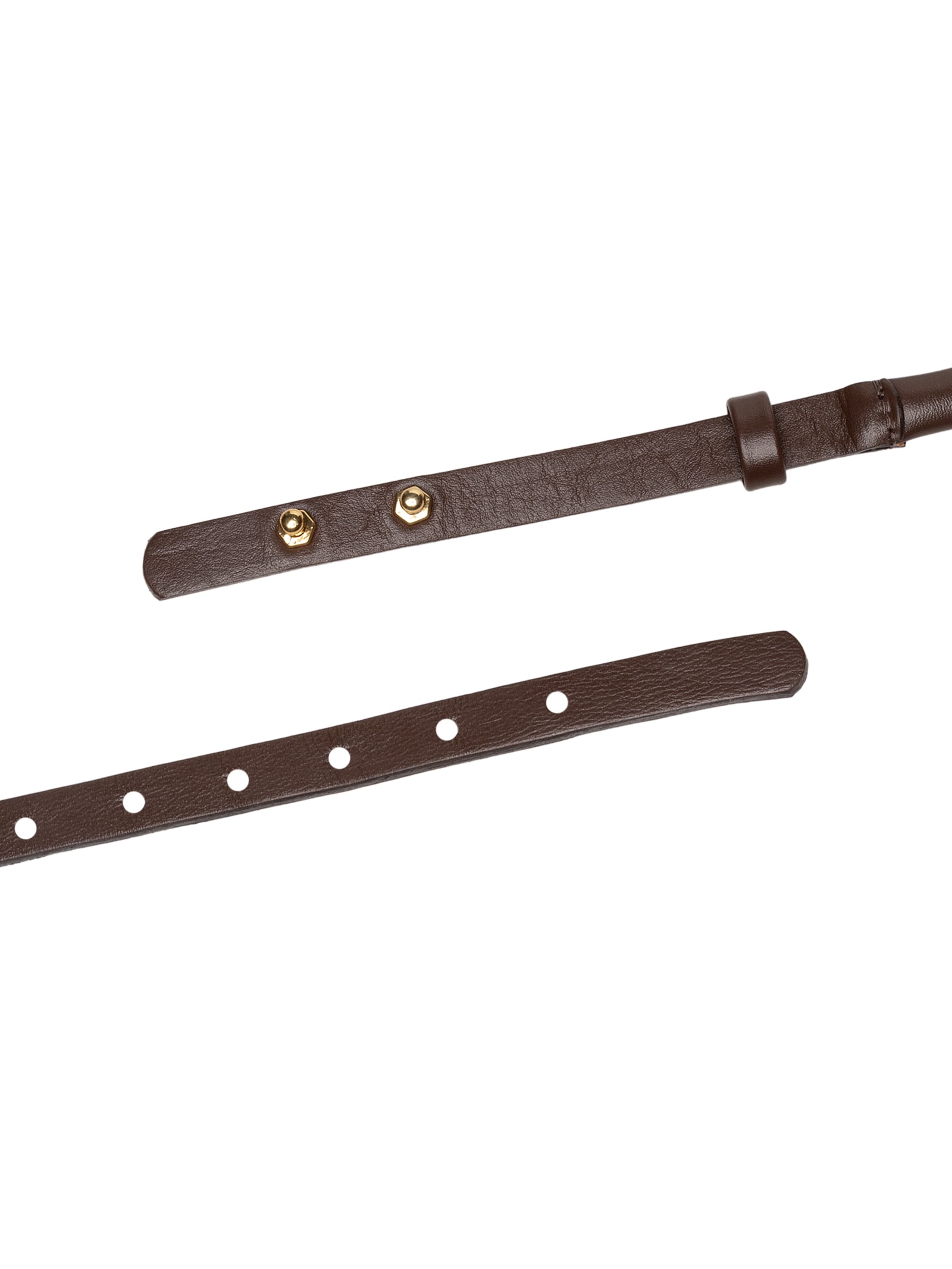 Cinto Feminino Juju Preto Le Lis