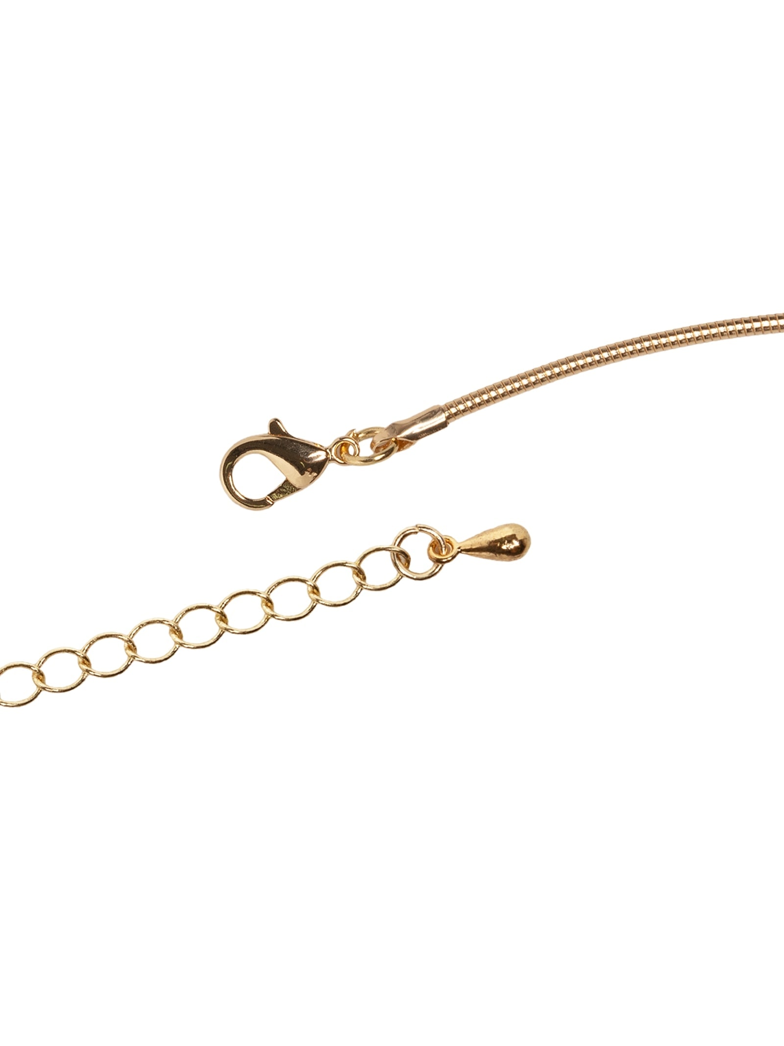 Colar Feminino Choker Com Pingente de Conchas Dourado  '2Essential