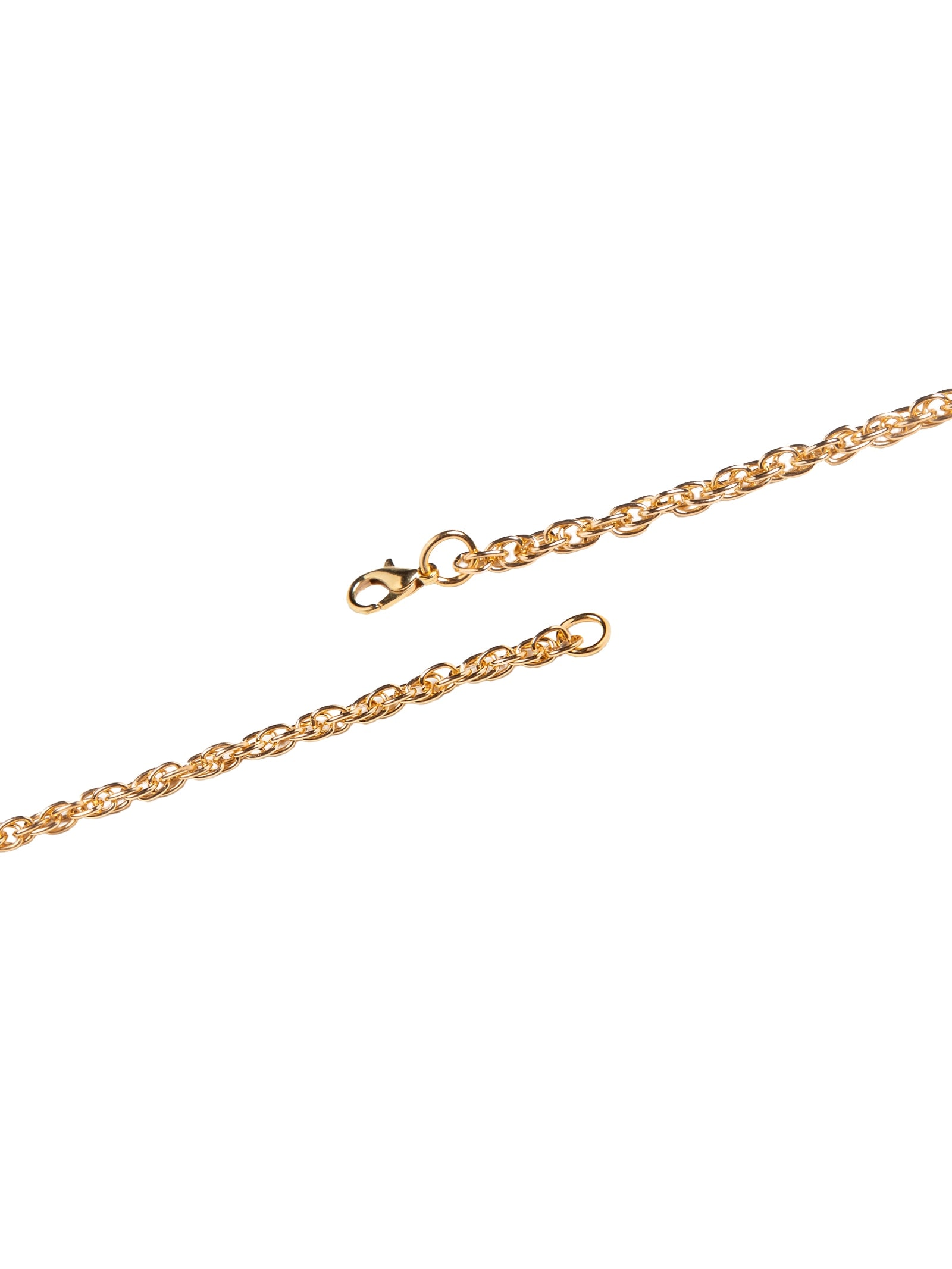 Colar Feminino Dente De Sabre Dourado Market 33