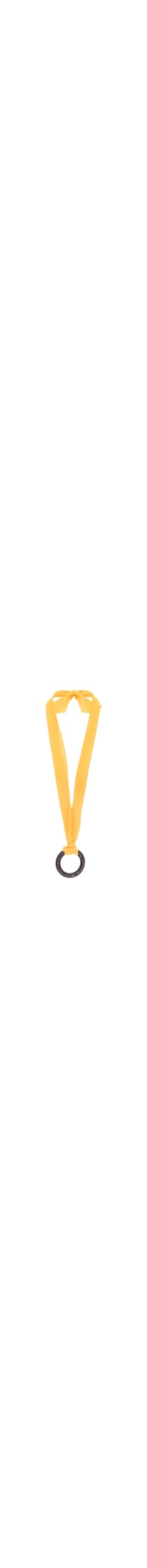 Colar Feminino Lenço De Seda Com Argola Resina - Amarelo