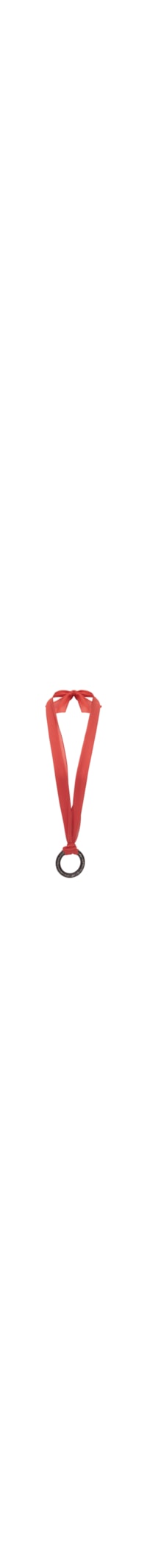 Colar Feminino Lenço De Seda Com Argola Resina - Laranja