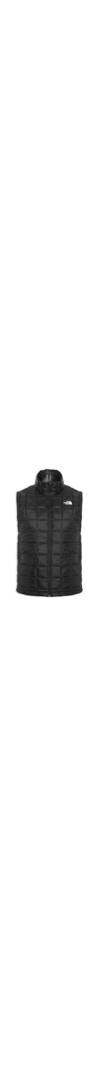 Colete Masculino Thermoball Eco Vest 2.4 - Preto