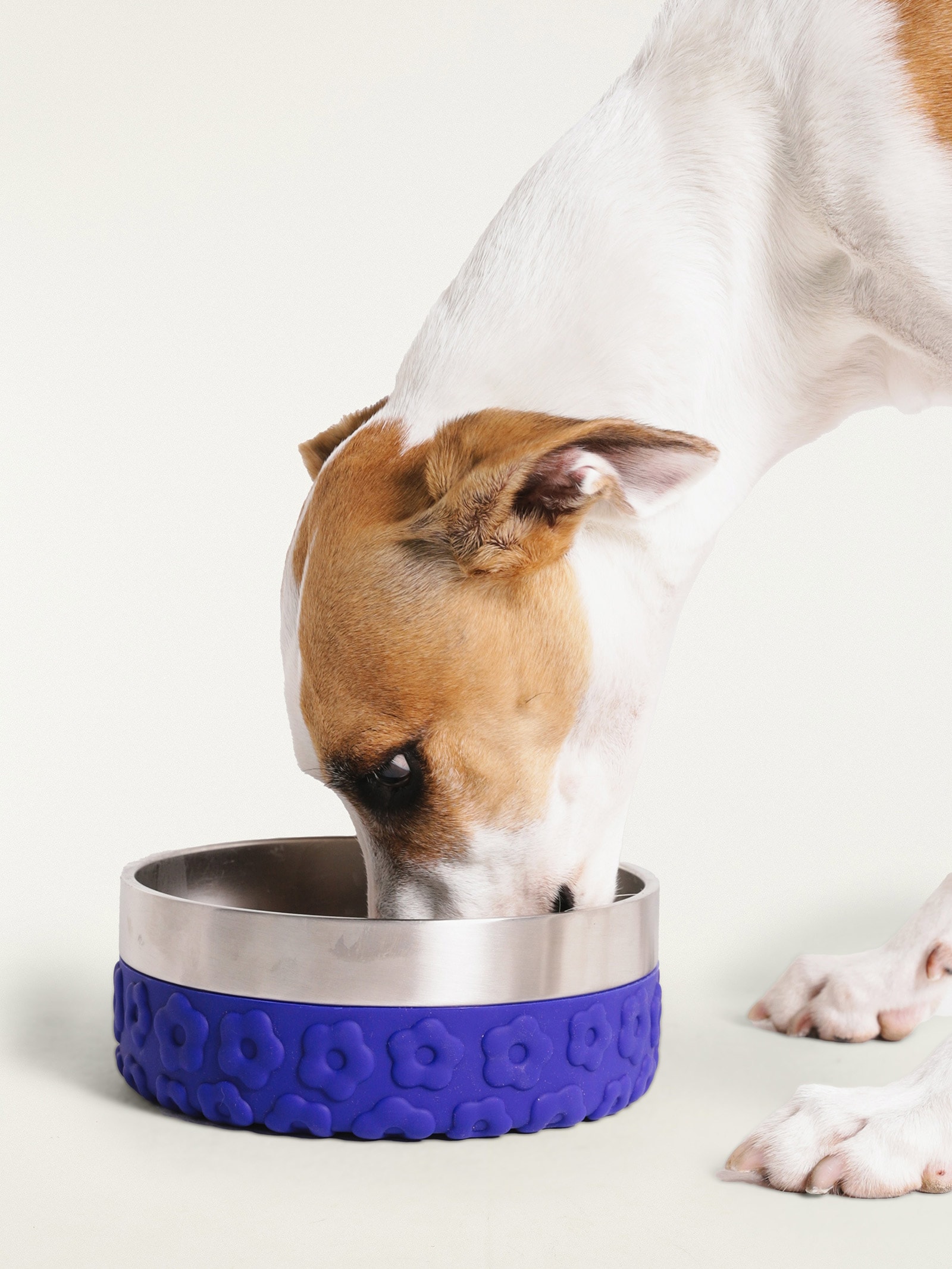 Comedouro Tuff Bowl Mix Azul Farm Etc + Zeedog