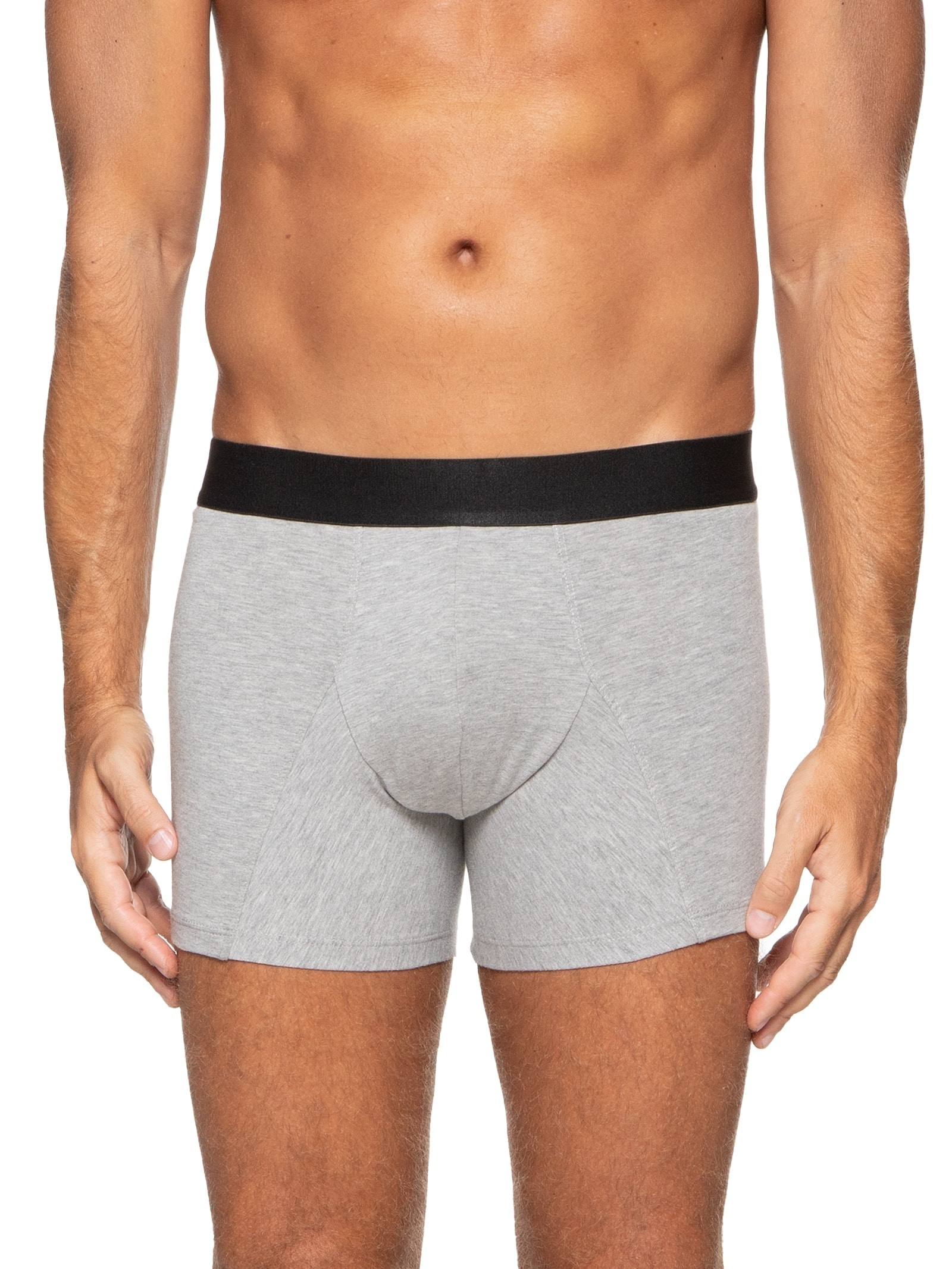 Cueca Boxer Elástico Pima Cinza '2 Essential