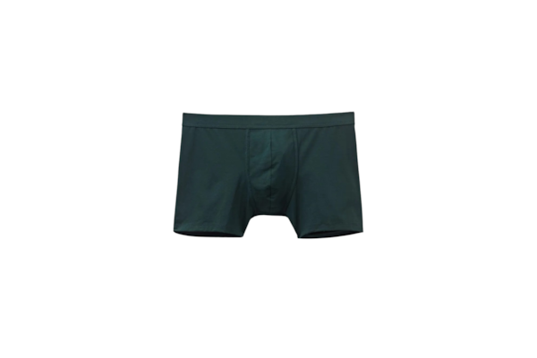 Cueca Boxer Em Algodão Premium - Verde