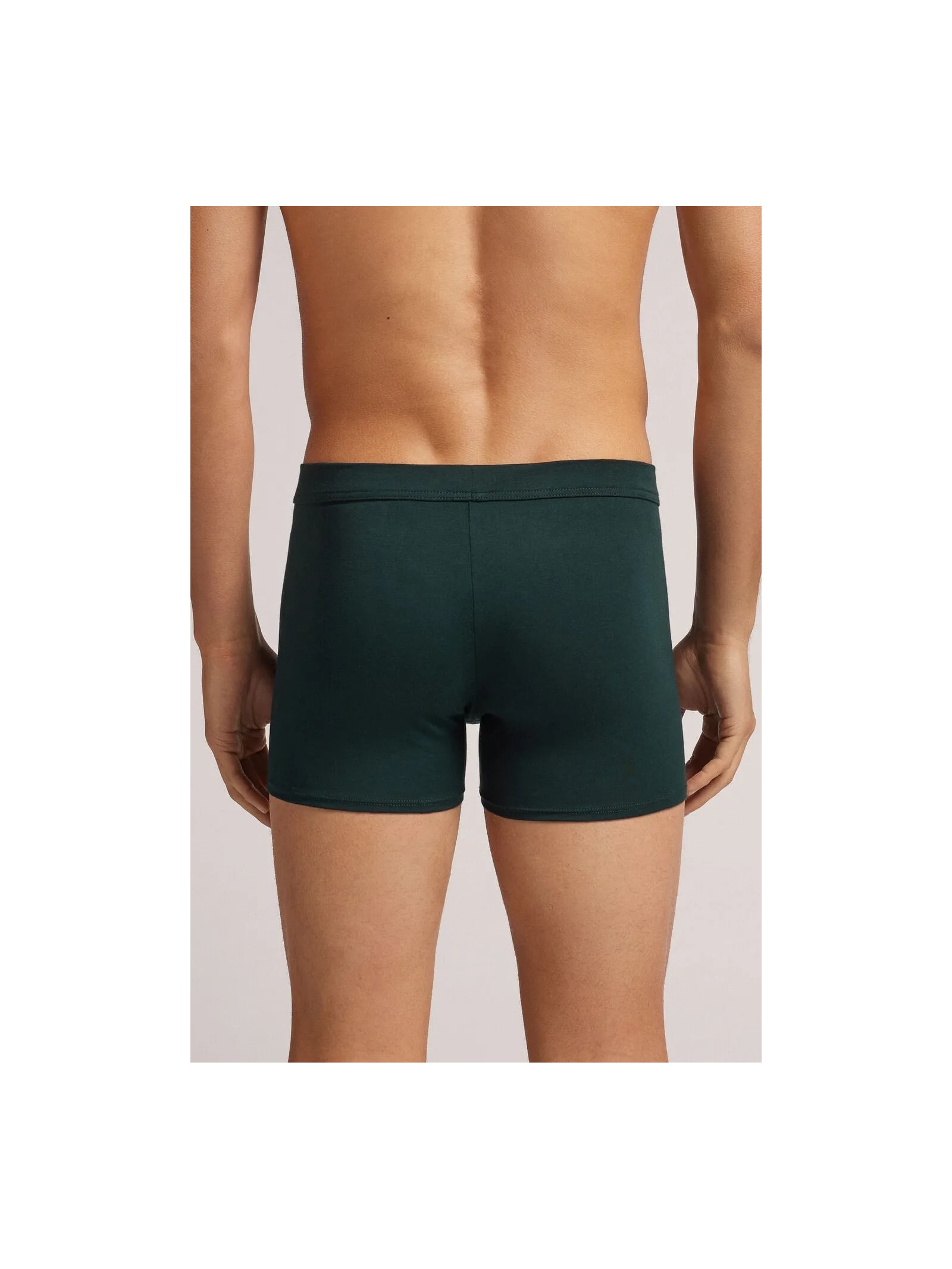 Cueca Boxer Em Algodão Supima Natural Fresh Verde Intimissimi