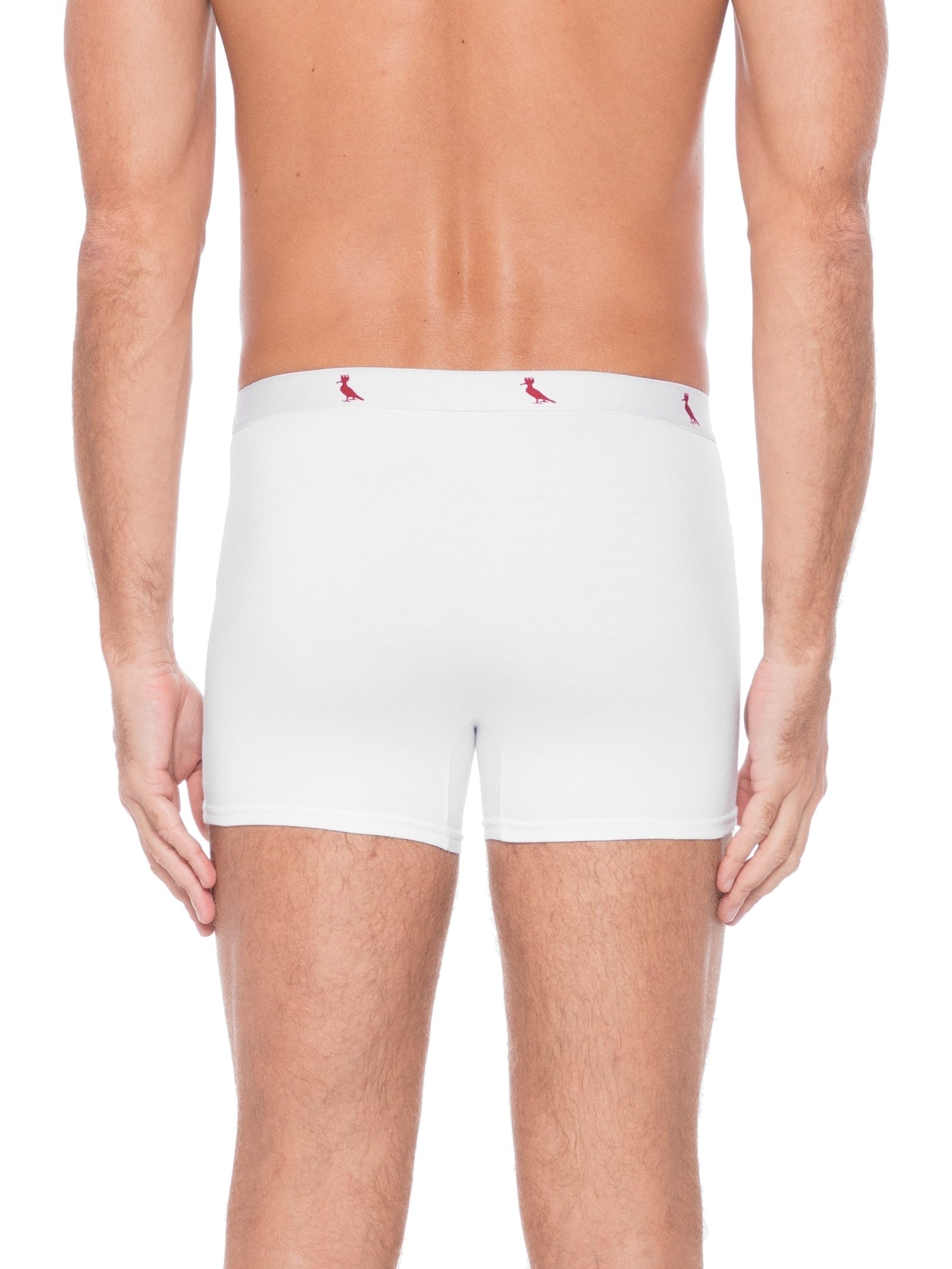 Cueca Cont. Boxer Algodão  Branco Reserva
