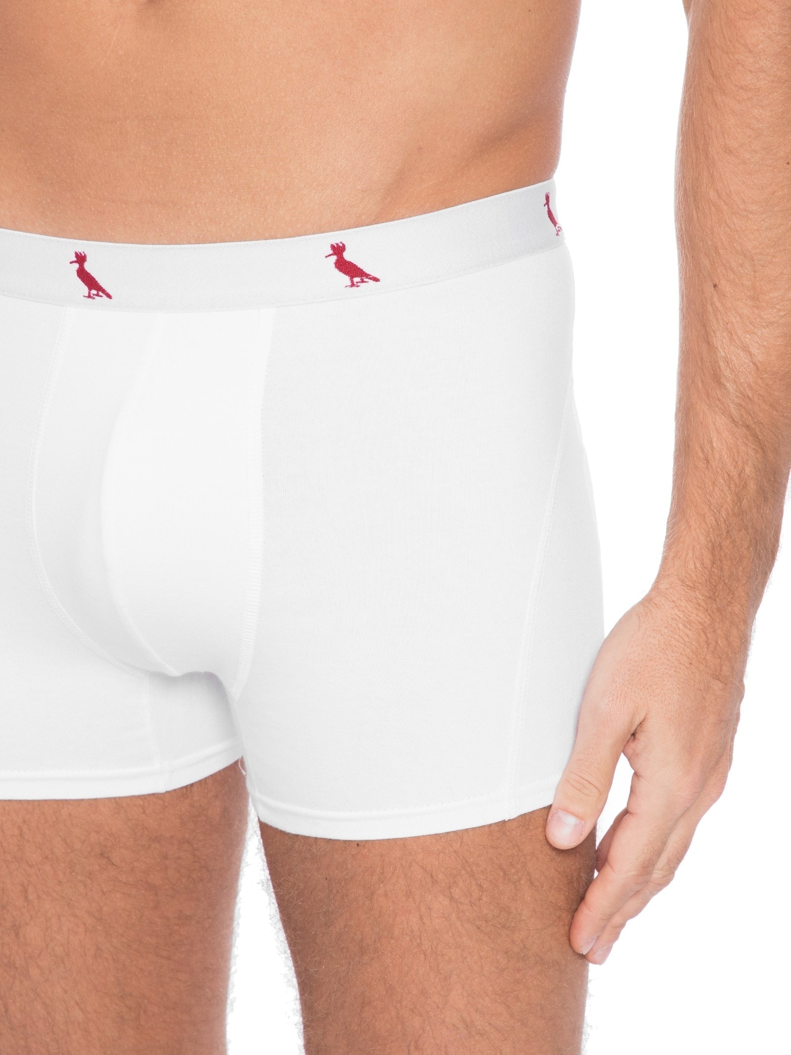 Cueca Cont. Boxer Algodão  Branco Reserva