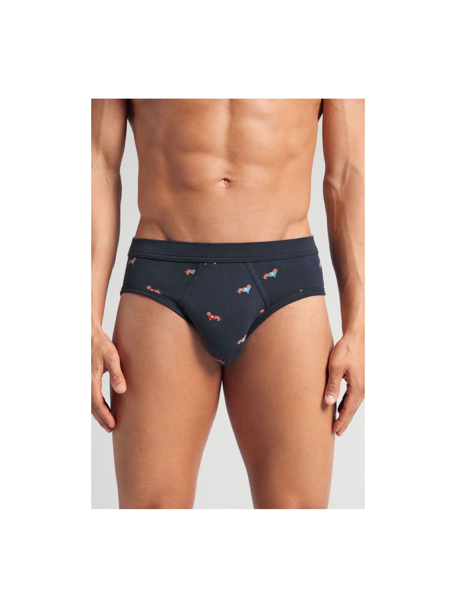 Cueca Slip Com Estampa De Cachorrinhos Em Algodão Supima Azul Intimissimi