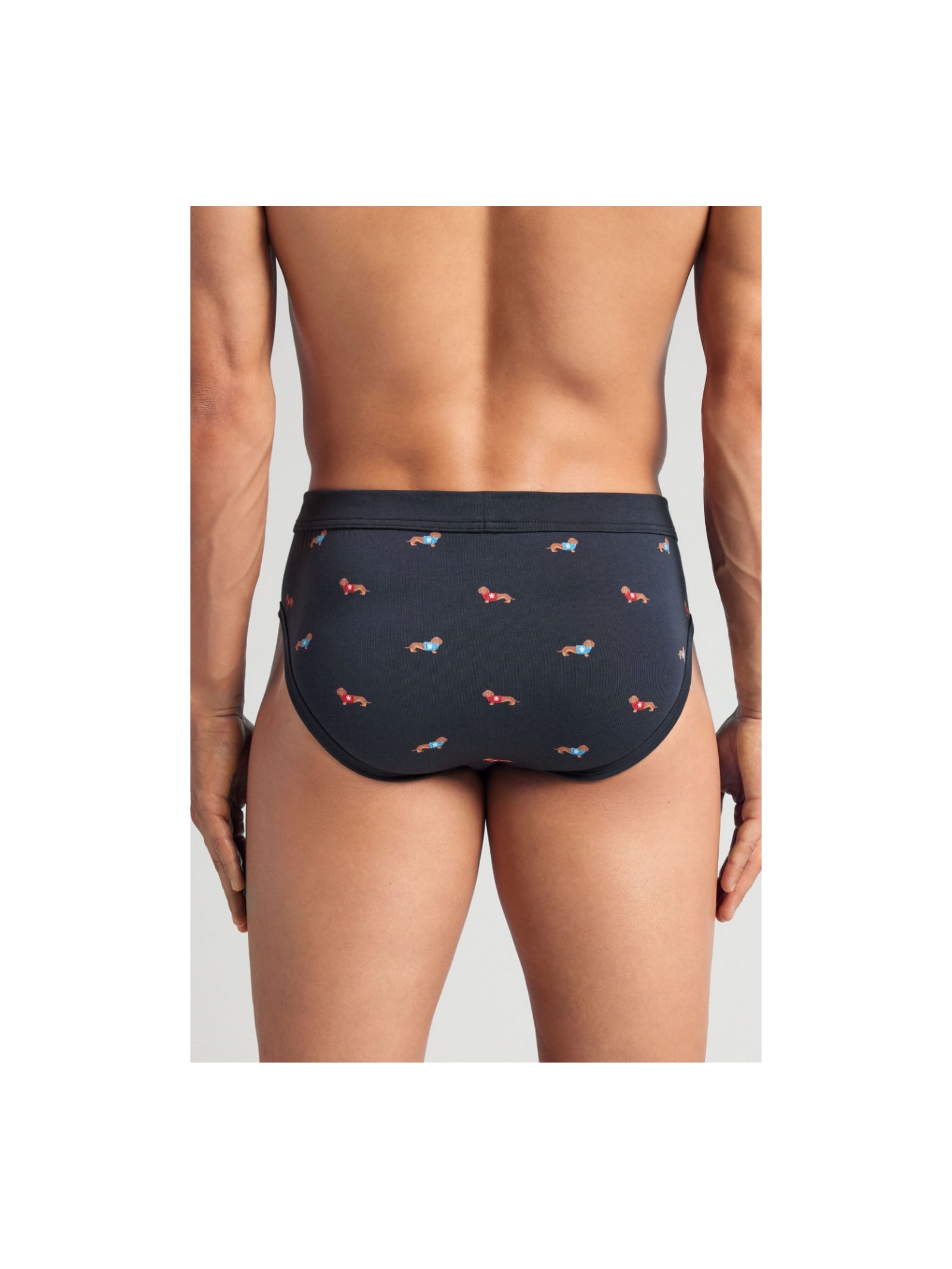 Cueca Slip Com Estampa De Cachorrinhos Em Algodão Supima Azul Intimissimi