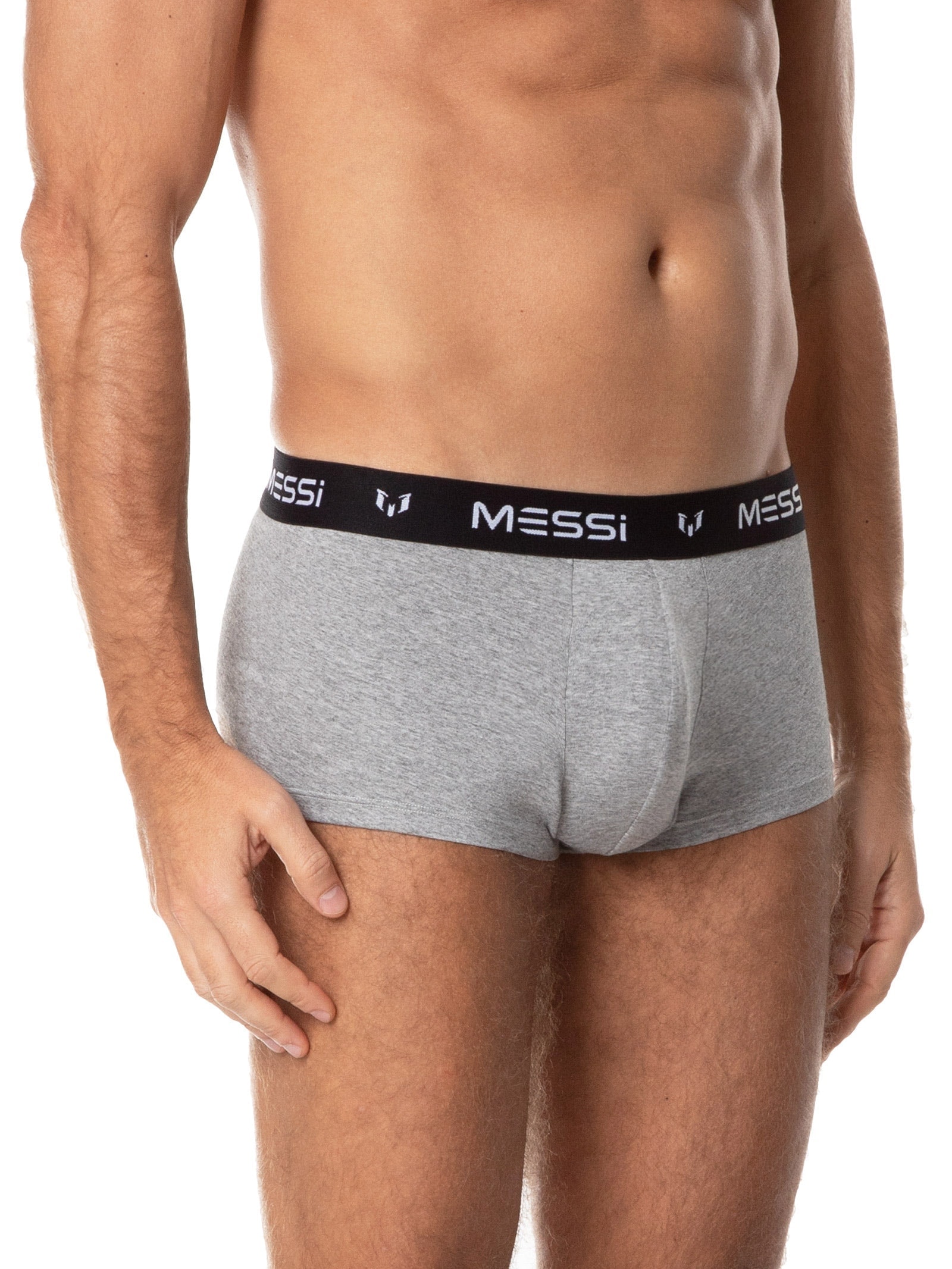 Cueca Sungão Viscolycra Cinza Casa Das Cuecas