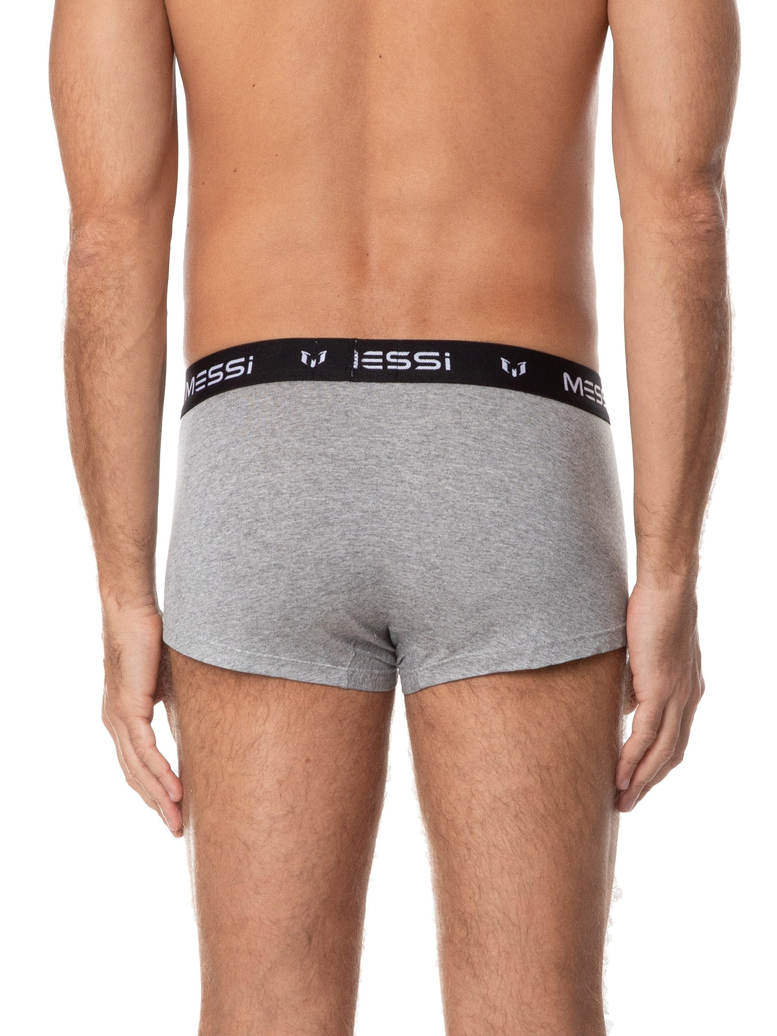 Cueca Sungão Viscolycra Cinza Casa Das Cuecas