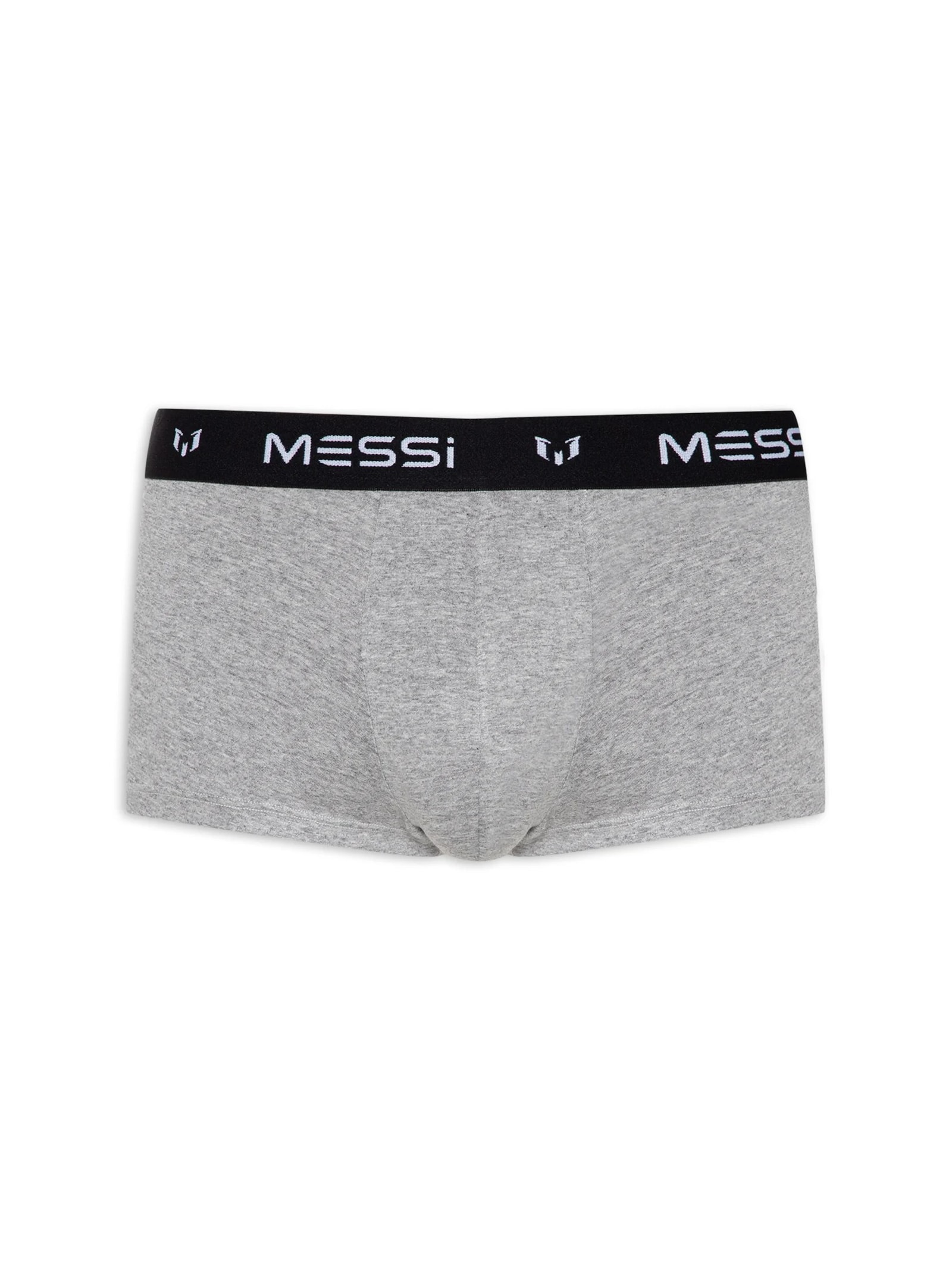 Cueca Sungão Viscolycra Cinza Casa Das Cuecas