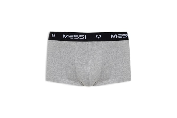 Cueca Sungão Viscolycra - Cinza