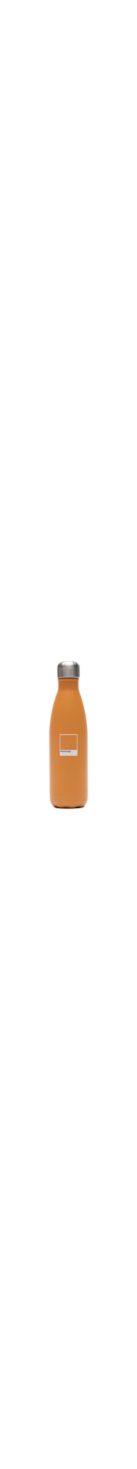 Garrafa Chip Em Aço Inox 500 ml - Laranja