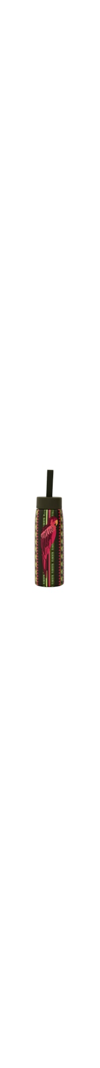 Garrafa Que Sede Janela Da Mata 500ML - Verde