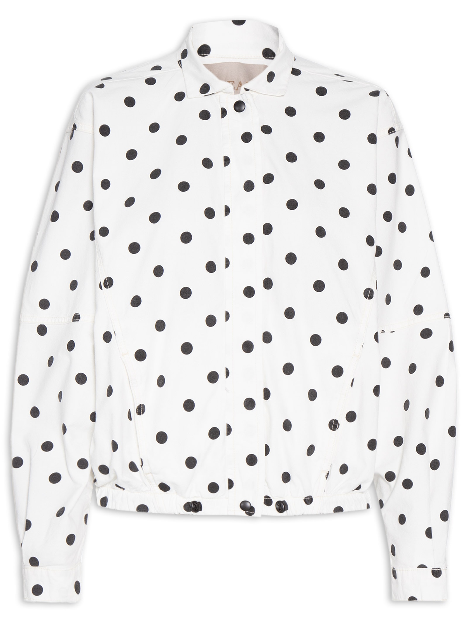 Jaqueta Feminina Paola Branco P7 Jeans
