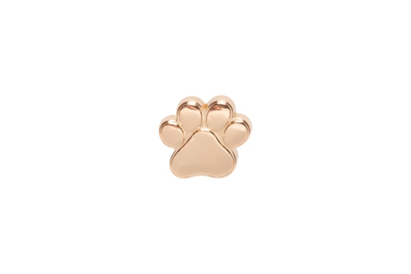 Jibbitz Feminino Gold Dog Paw - Dourado