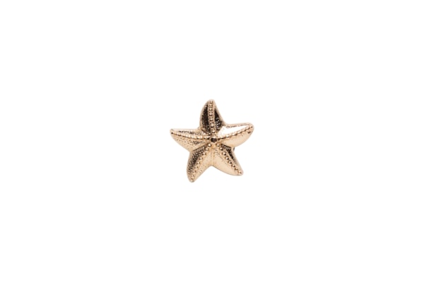 Jibbitz Feminino Gold Star Fish - Dourado