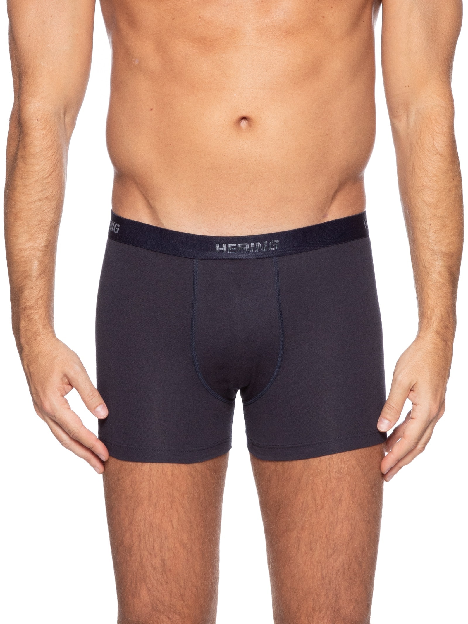 Kit Com 2 Cuecas Boxer Hering Intimates