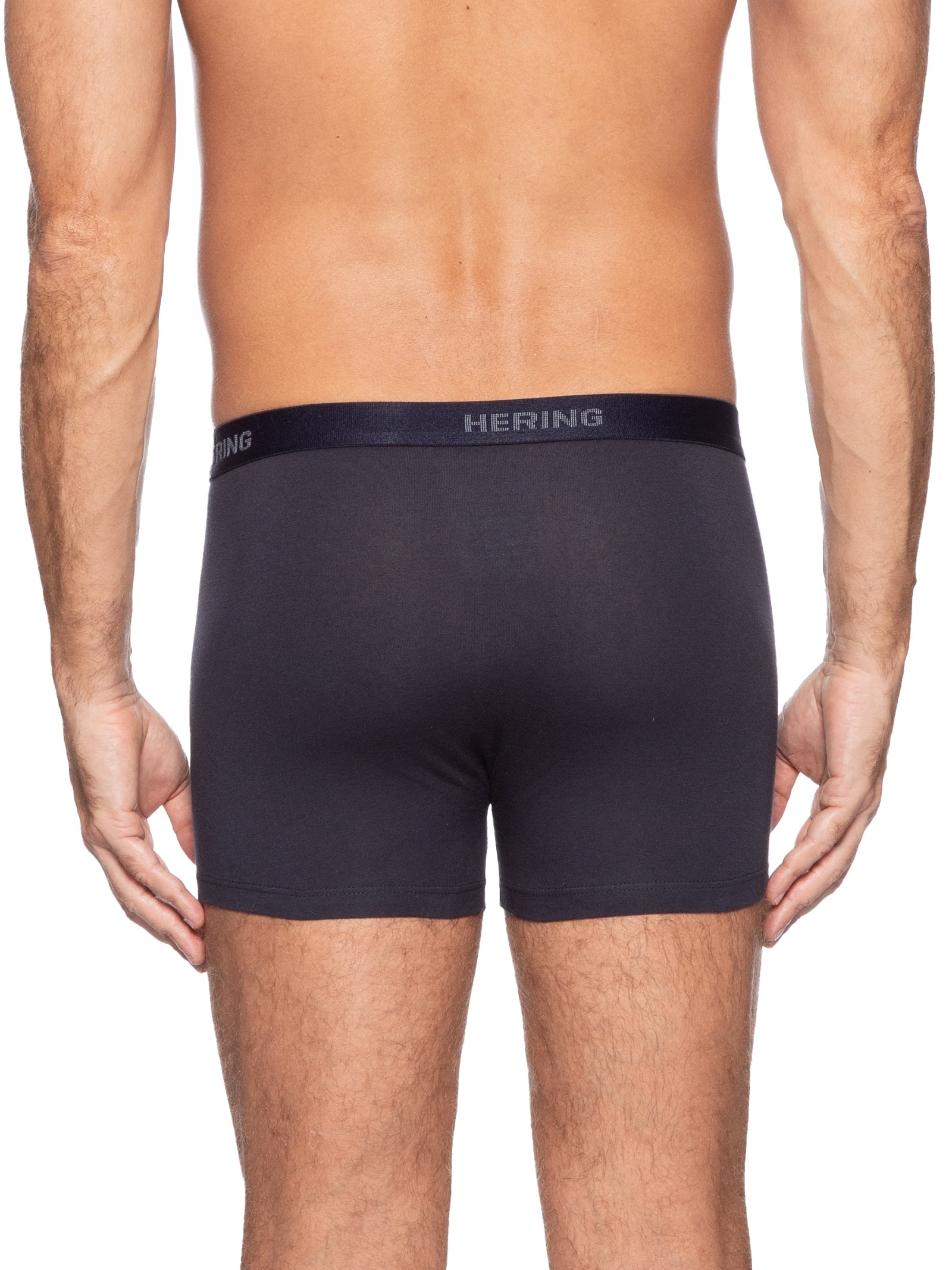 Kit Com 2 Cuecas Boxer Hering Intimates