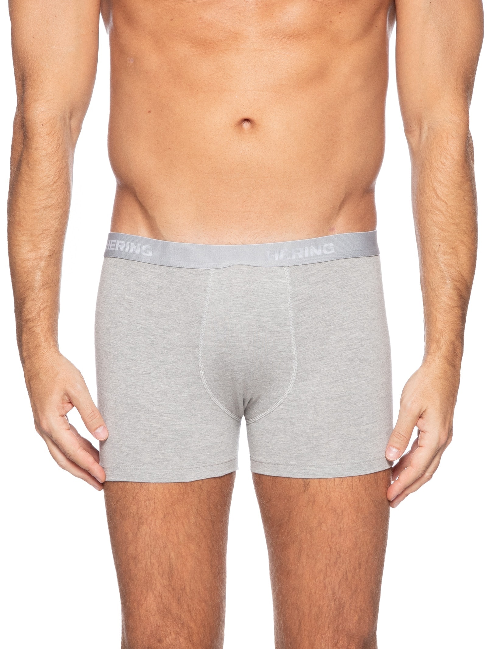 Kit Com 2 Cuecas Boxer Hering Intimates