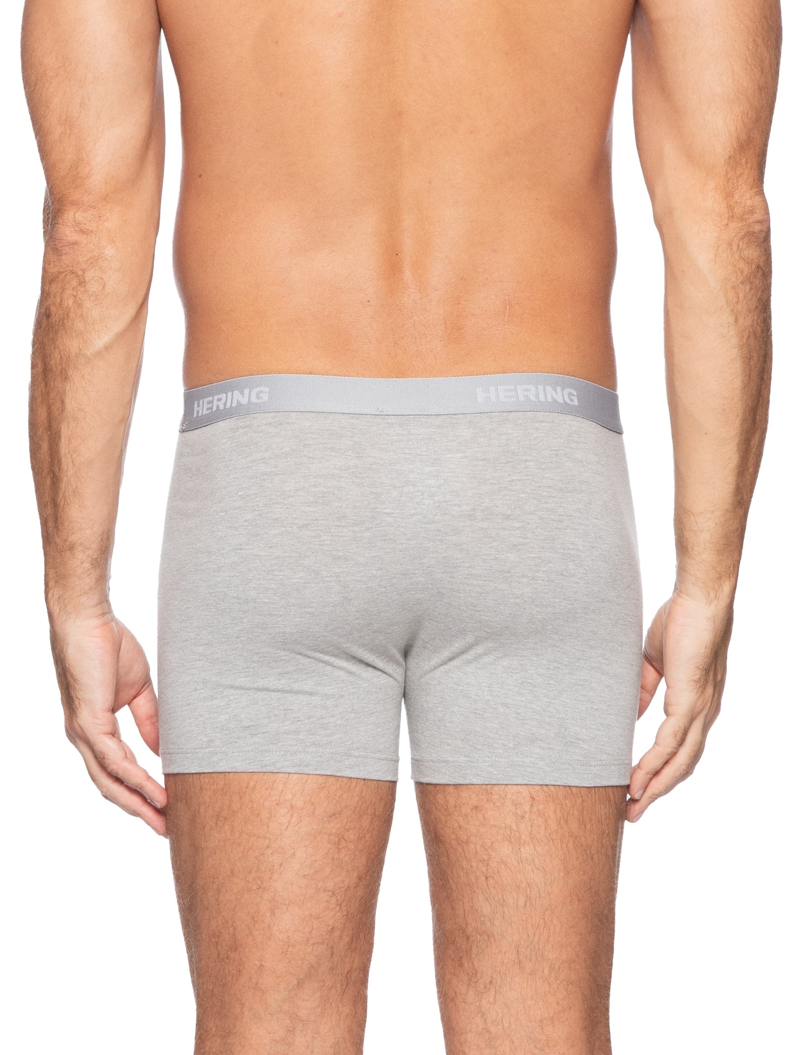 Kit Com 2 Cuecas Boxer Hering Intimates