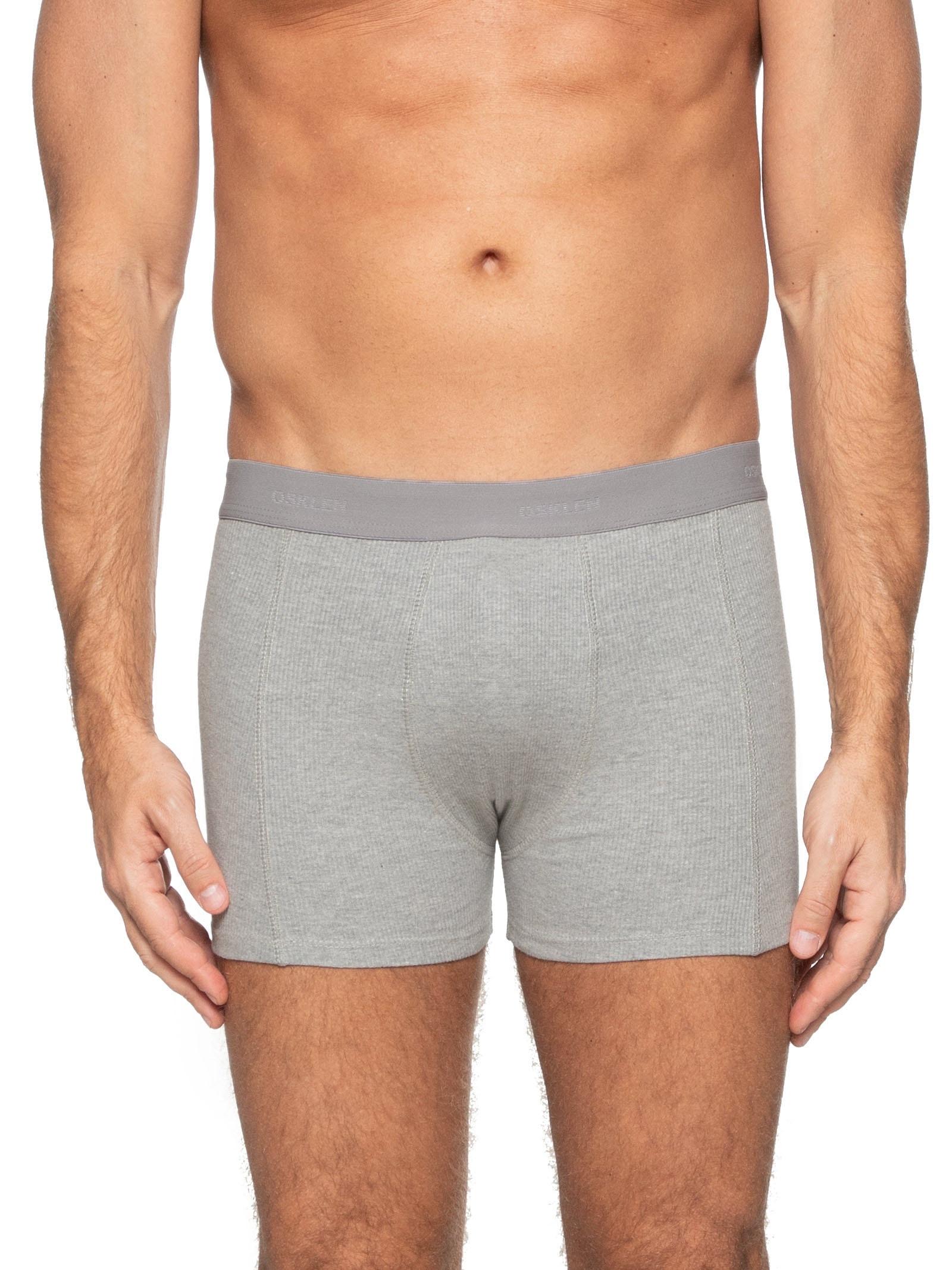 Kit Com 2 Cuecas Boxer Algodão Osklen