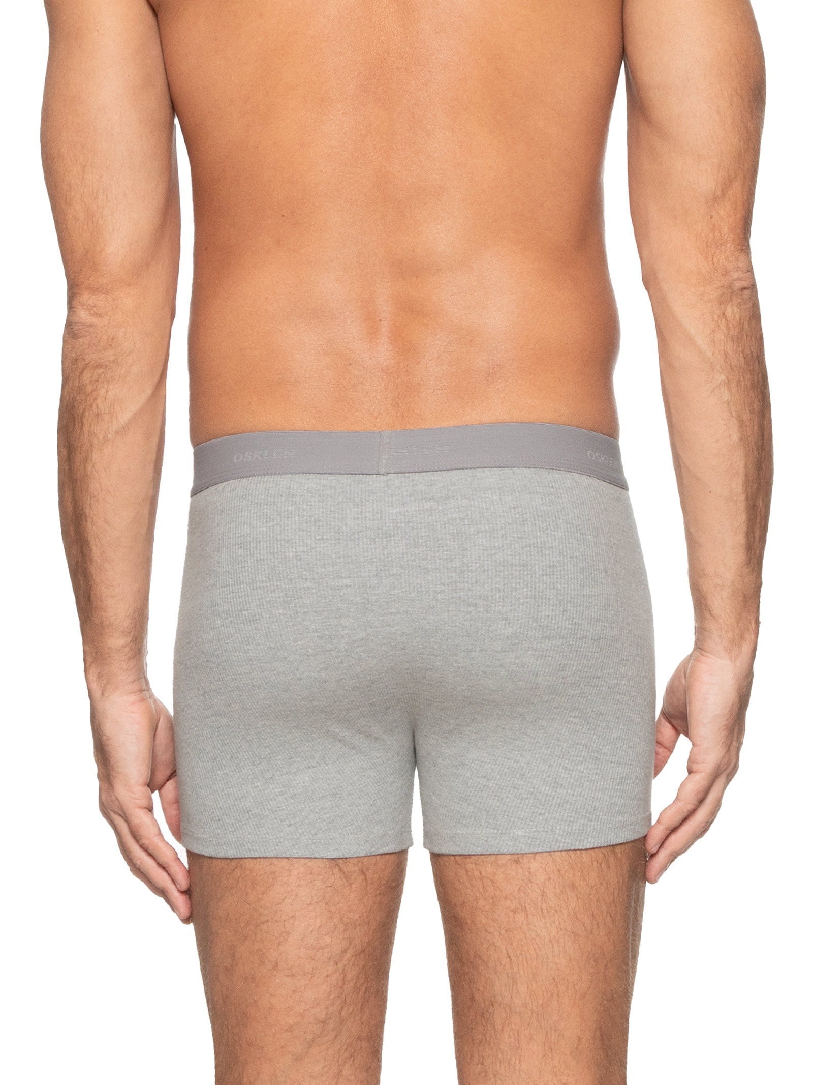 Kit Com 2 Cuecas Boxer Algodão Osklen