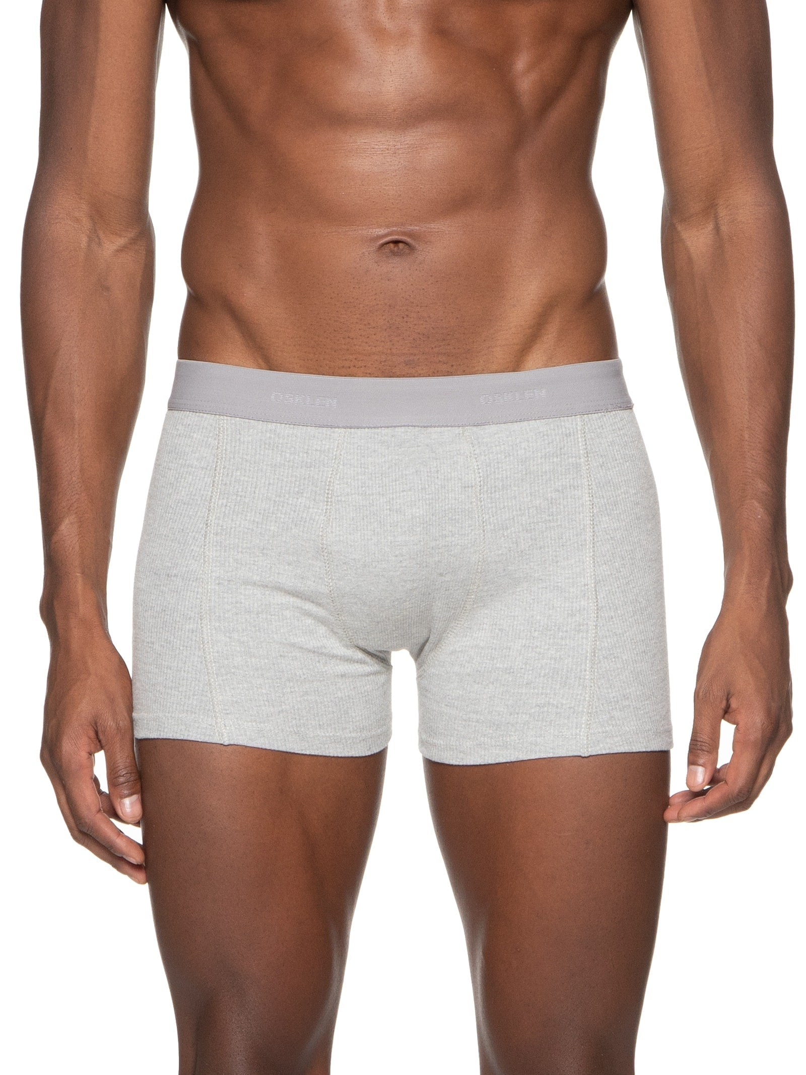 Kit De Cueca Boxer Algodão Osklen