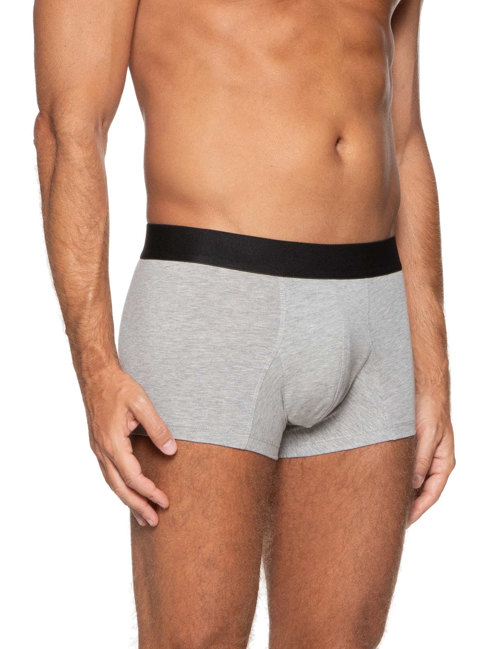 Kit De Cueca Trunk Elástico Pima 3 Peças Cinza '2 Essential