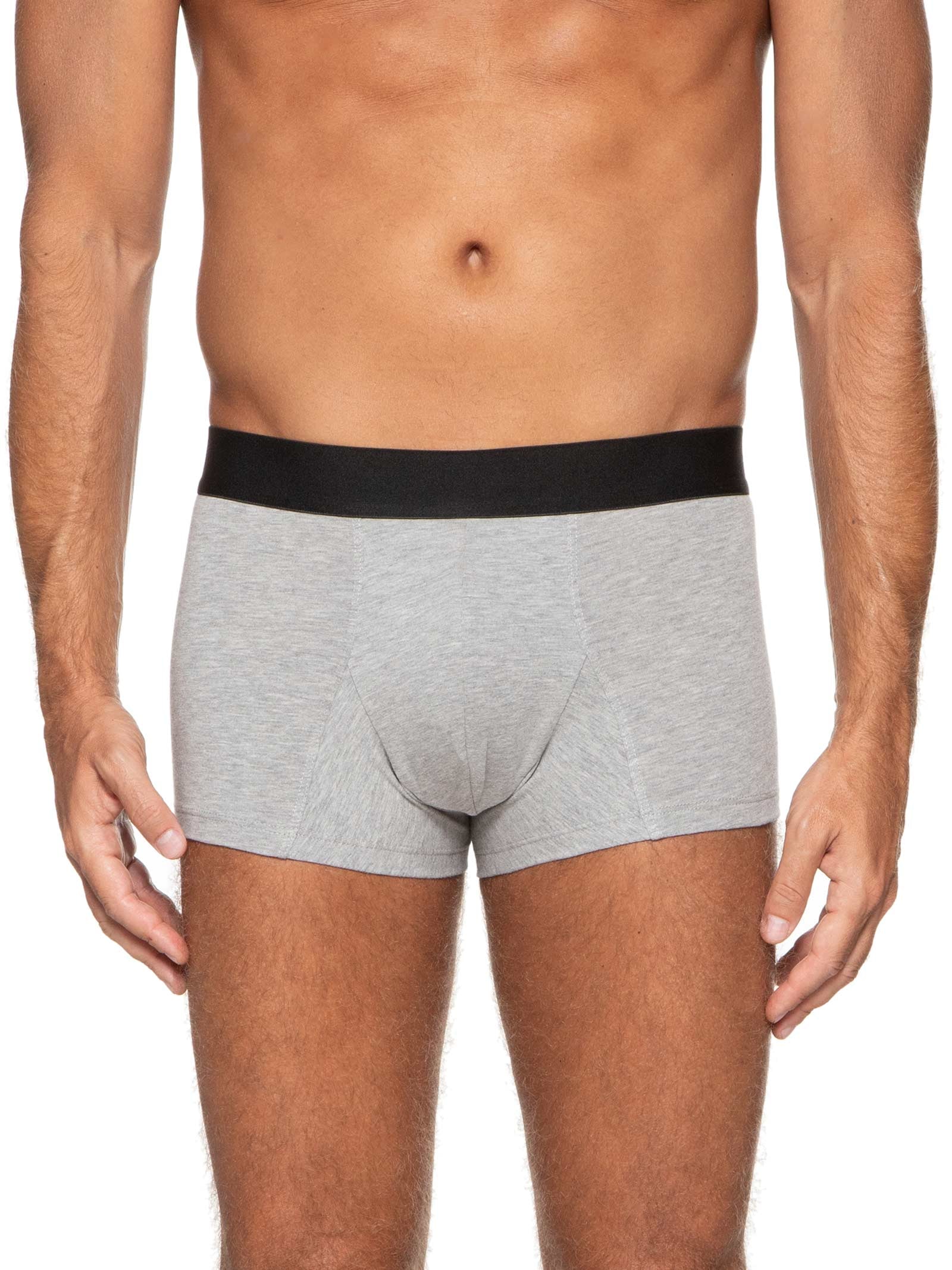Kit De Cueca Trunk Elástico Pima 3 Peças Cinza '2 Essential