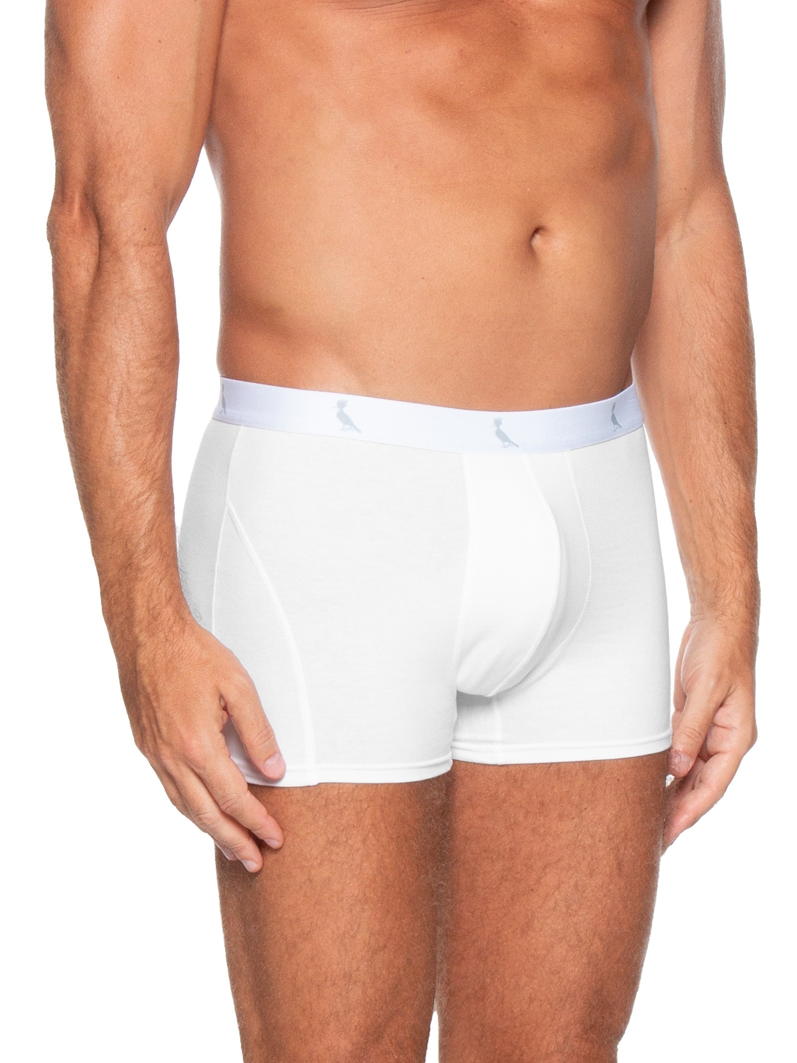 Kit De Cuecas Boxer Monocromático 3 Peças Branco Reserva