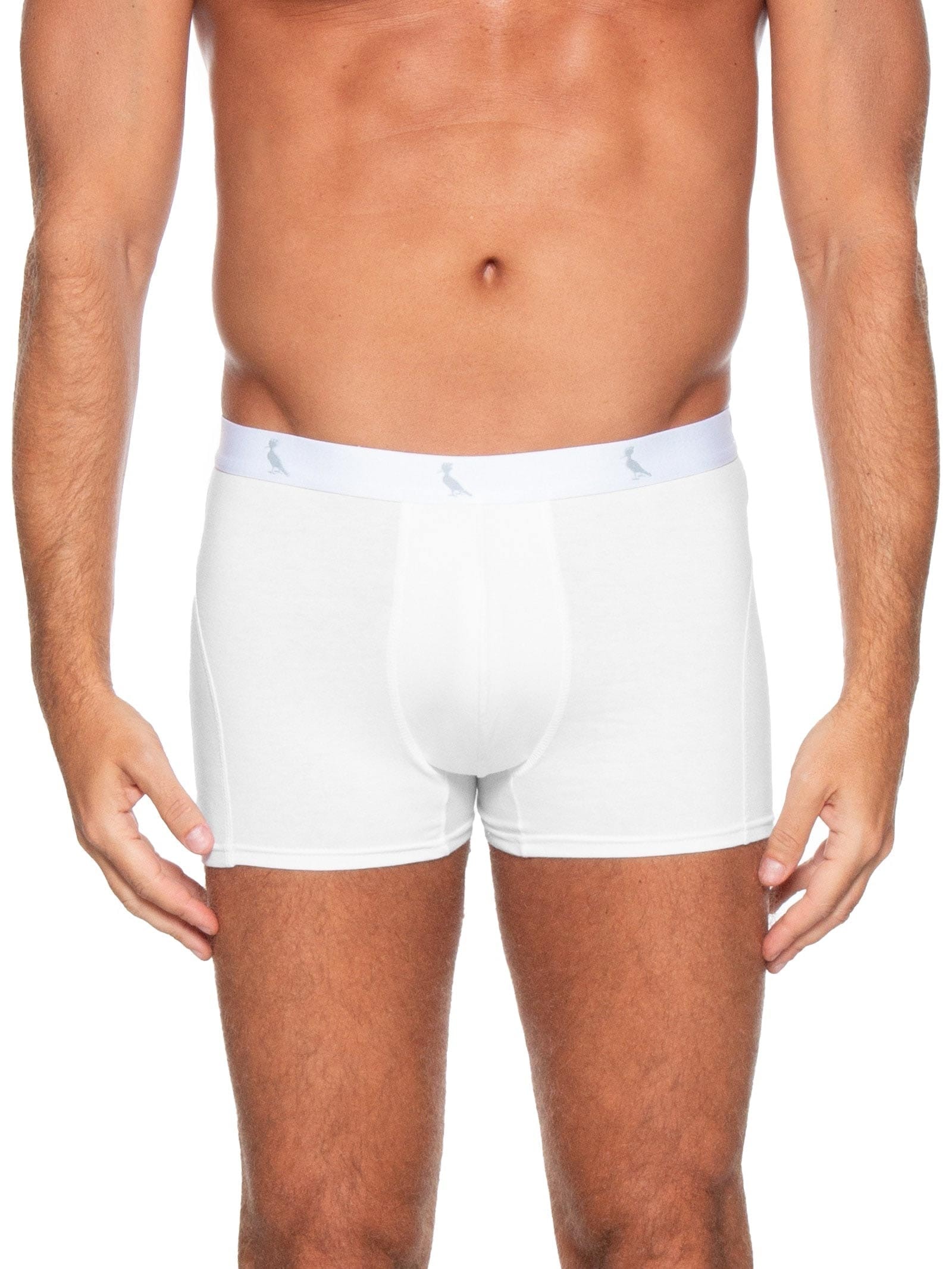 Kit De Cuecas Boxer Monocromático 3 Peças Branco Reserva