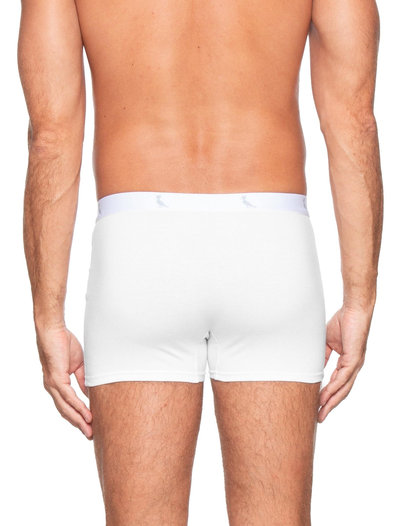 Kit De Cuecas Boxer Monocromático 3 Peças Branco Reserva