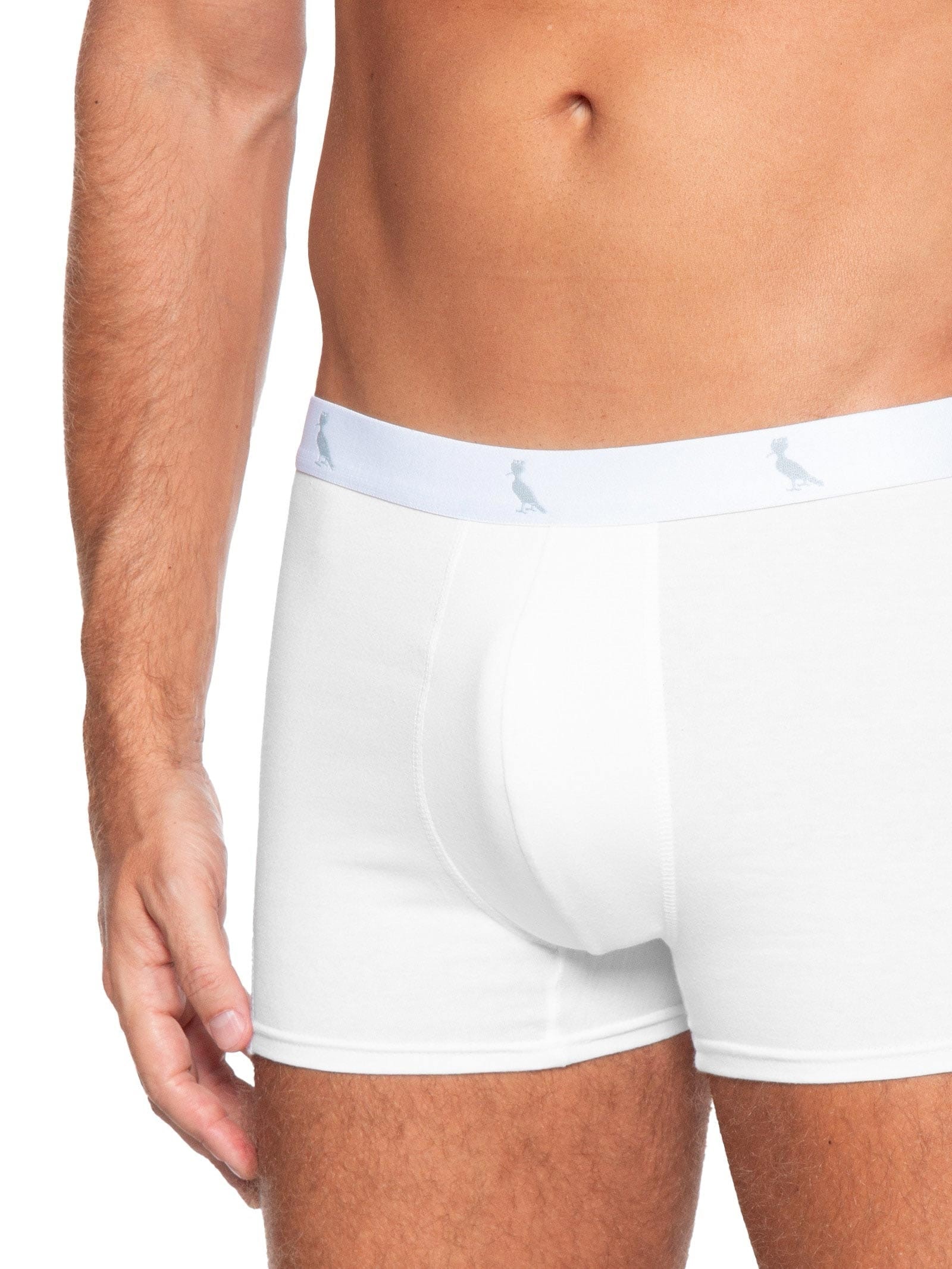 Kit De Cuecas Boxer Monocromático 3 Peças Branco Reserva
