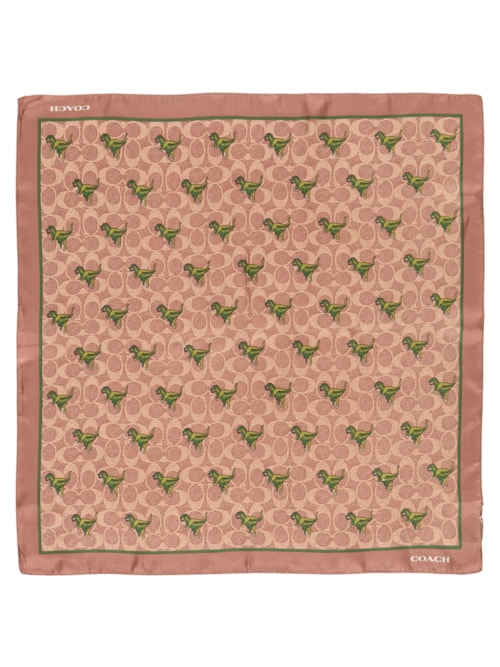 Lenço Feminino Silk Bandana Rexy Print – Marrom