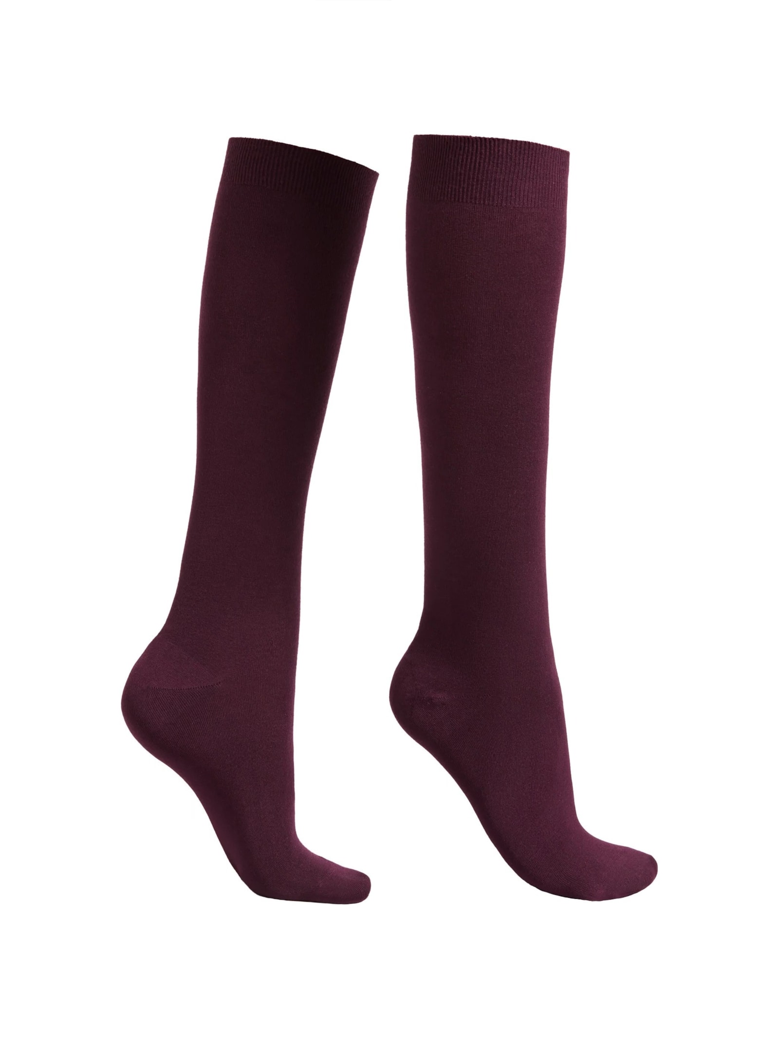 Meia Alta Com Cashmere Bordô Calzedonia