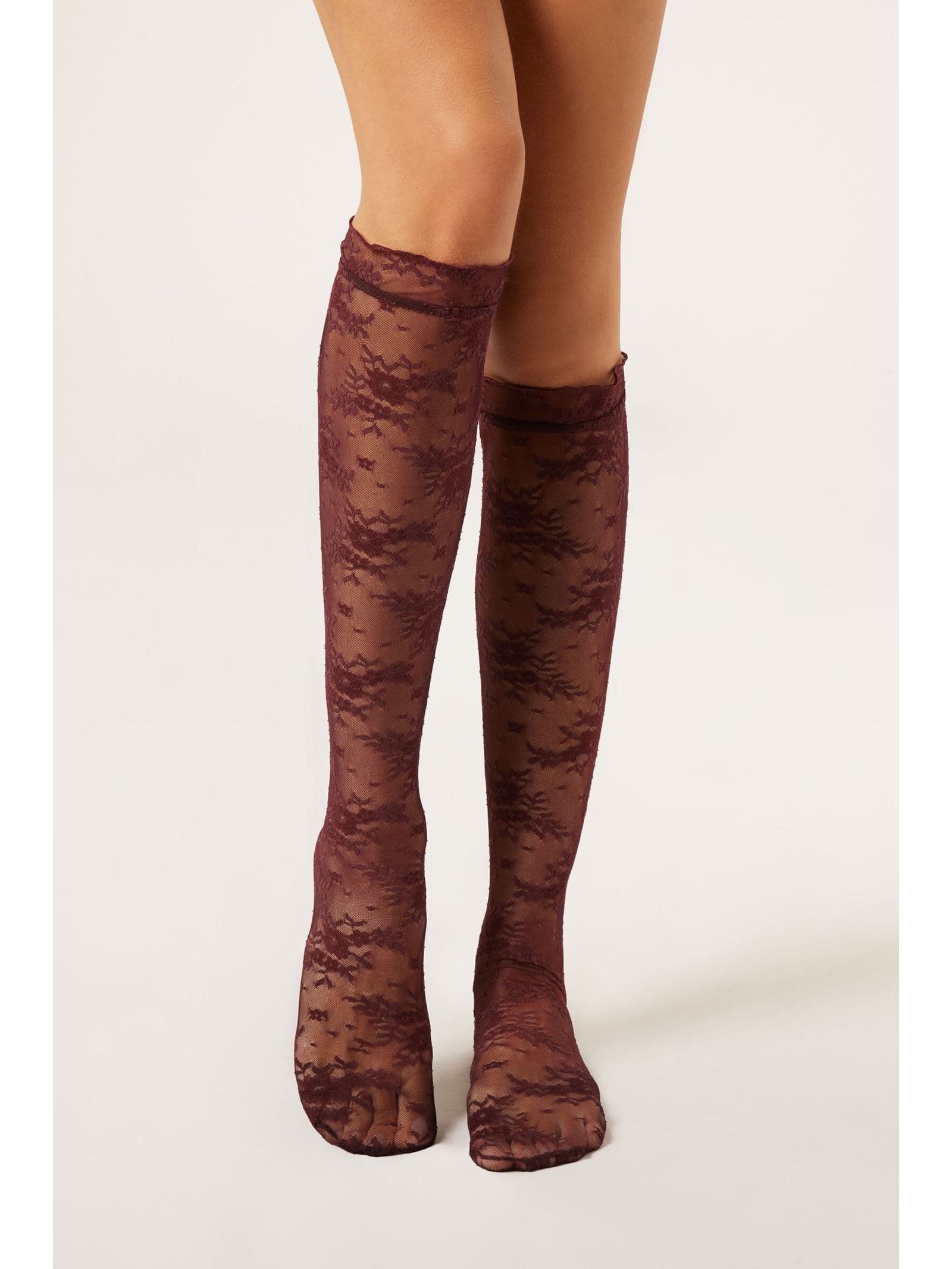 Meia Alta Em Renda Com Padrão Floral Bordô Calzedonia