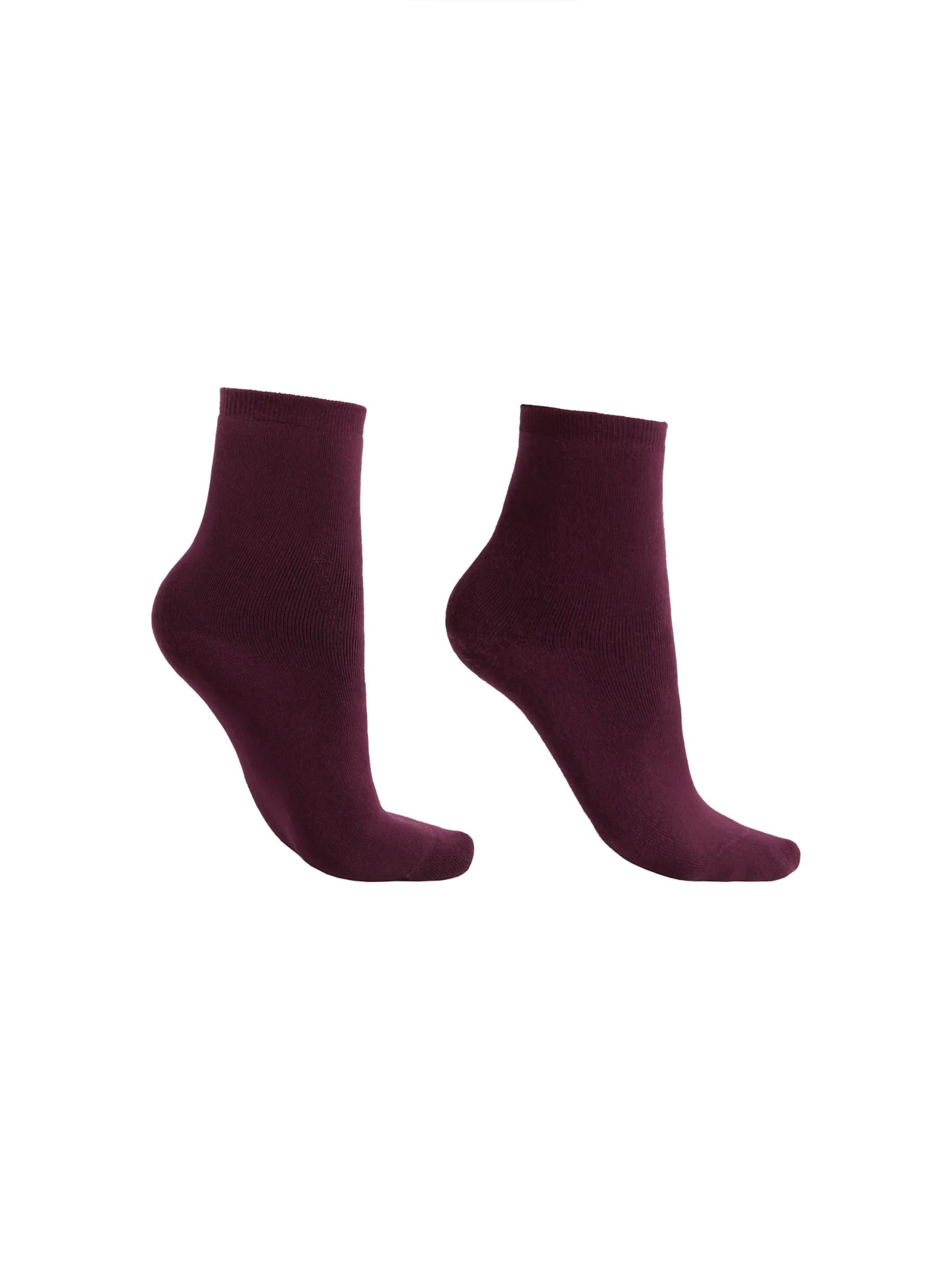 Meia Curta Em Algodão Térmico Bordô Calzedonia