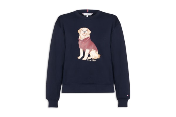 Moletom Feminino Careca Dog C-NK Swtshirt - Azul