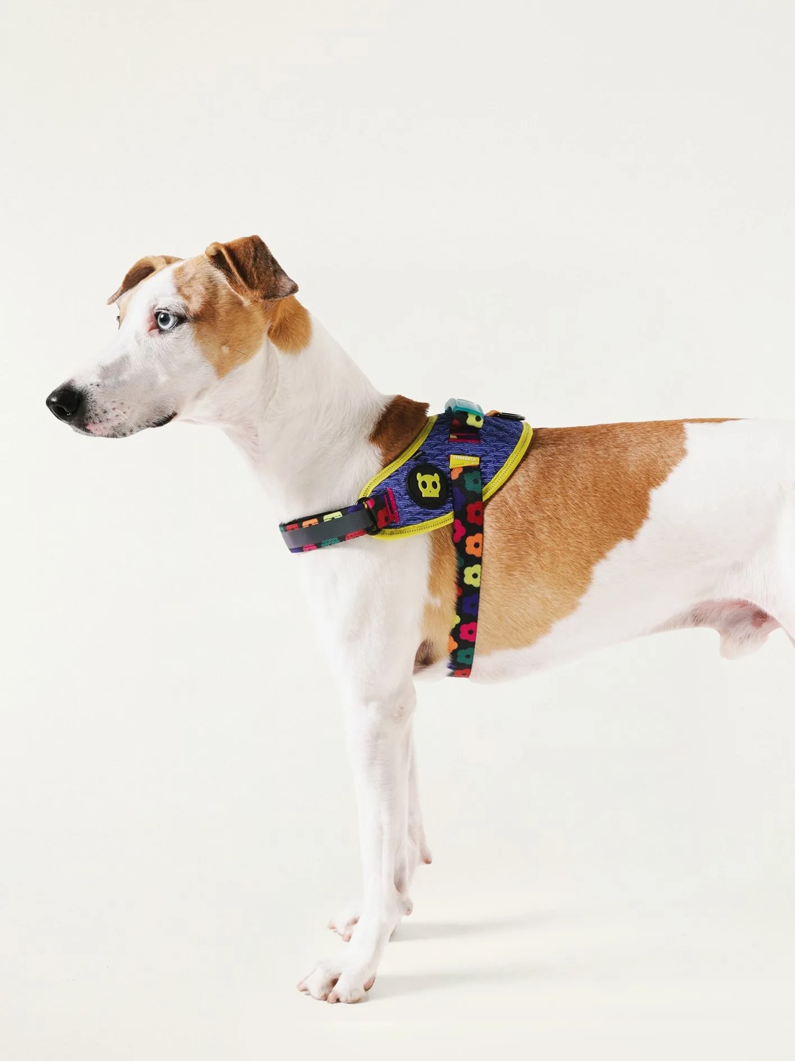 Peitoral Flyharness Mix Azul Farm Etc + Zeedog