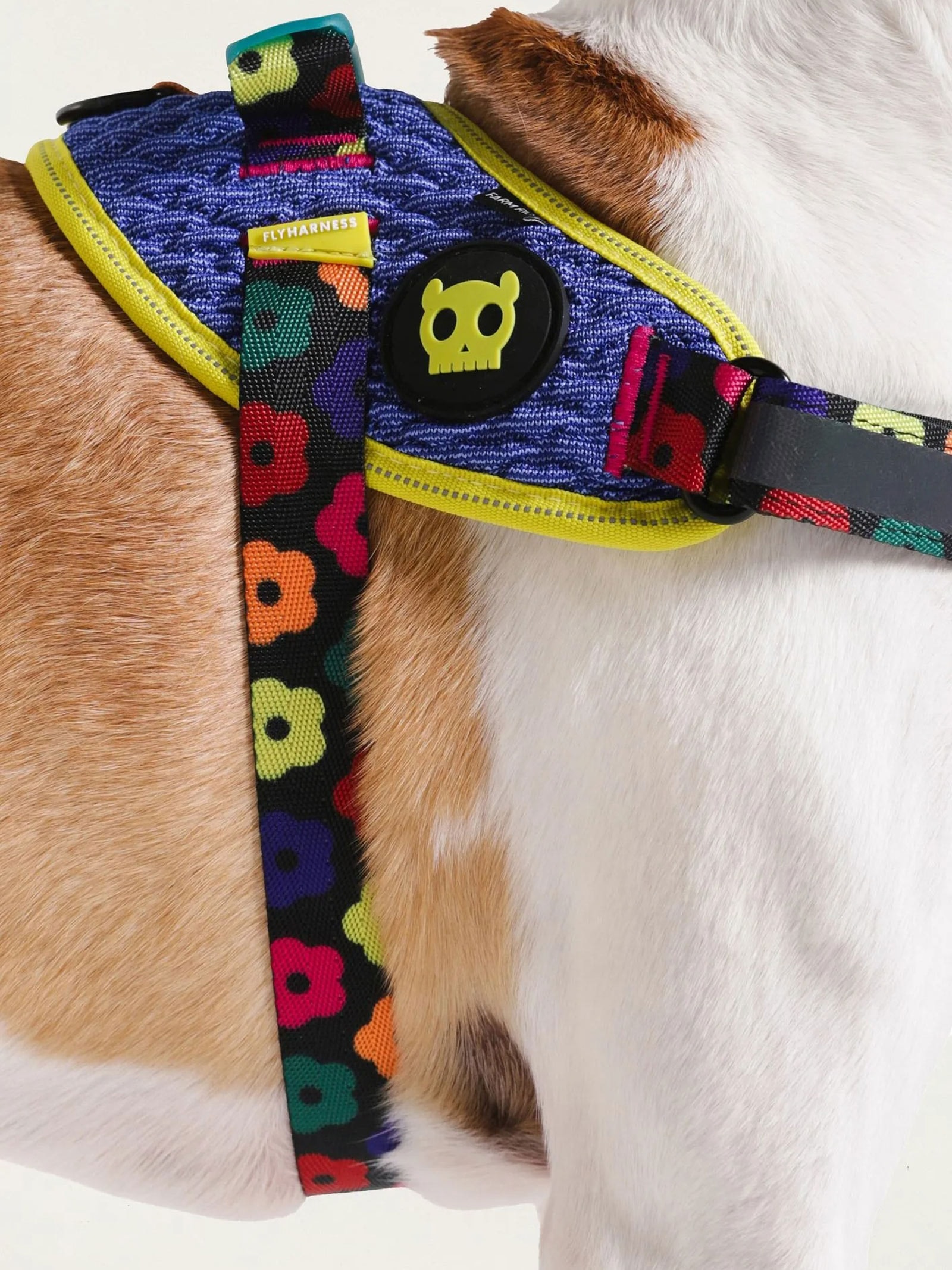 Peitoral Flyharness Mix - Azul - Farm + Zeedog